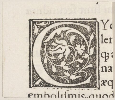 Decorated Initial Letter C