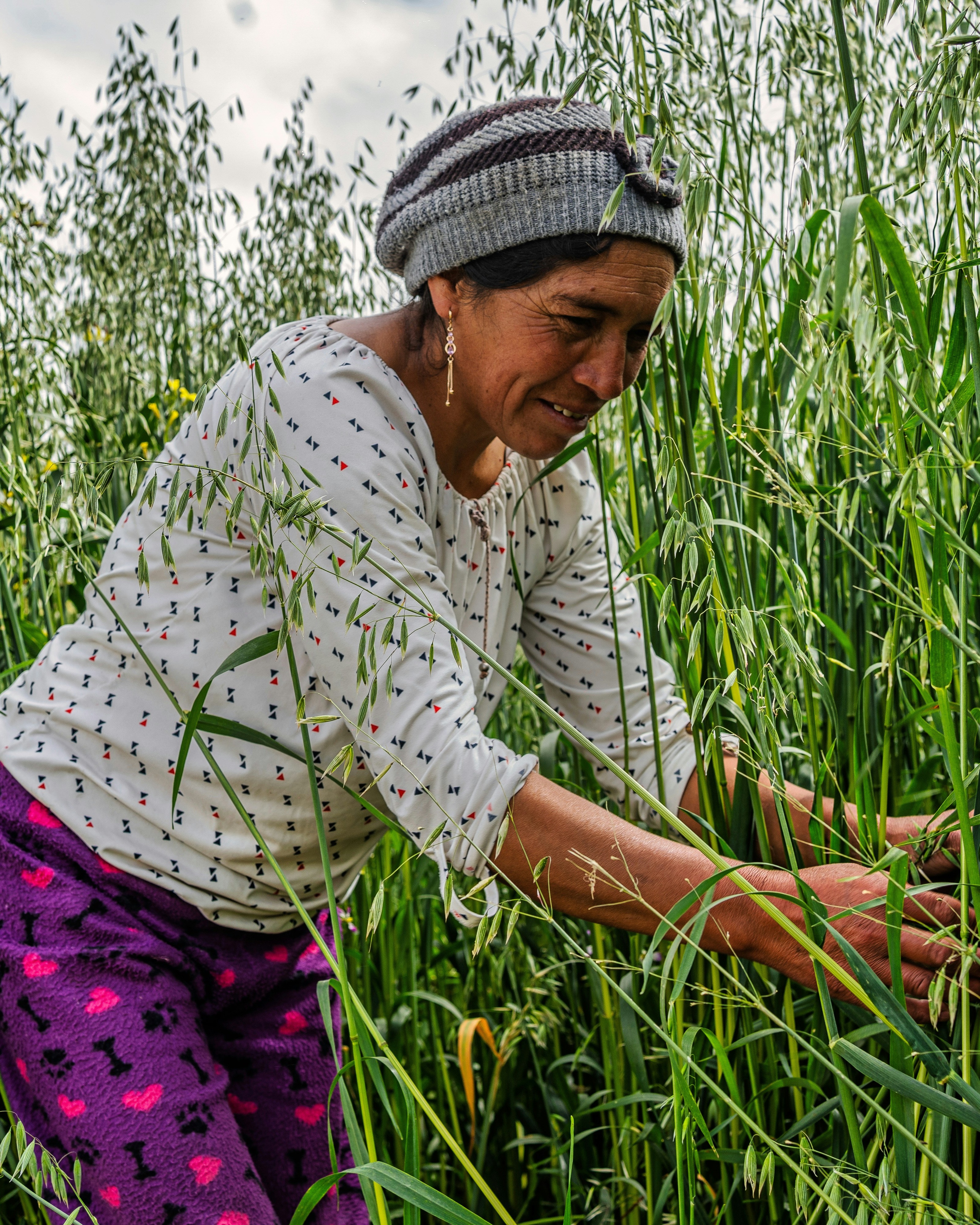 Woman Working in Oat Field