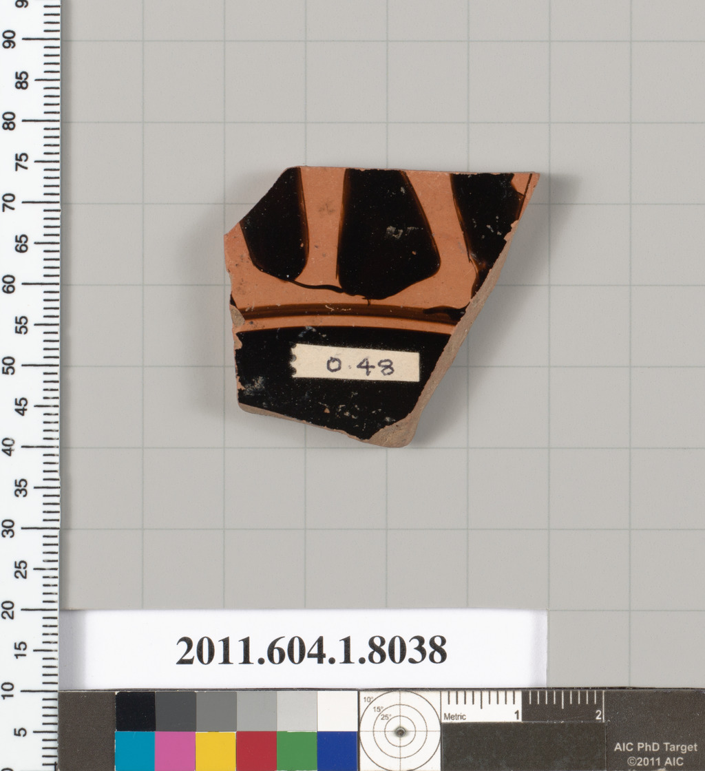 Ancient Pottery Fragment Specimen