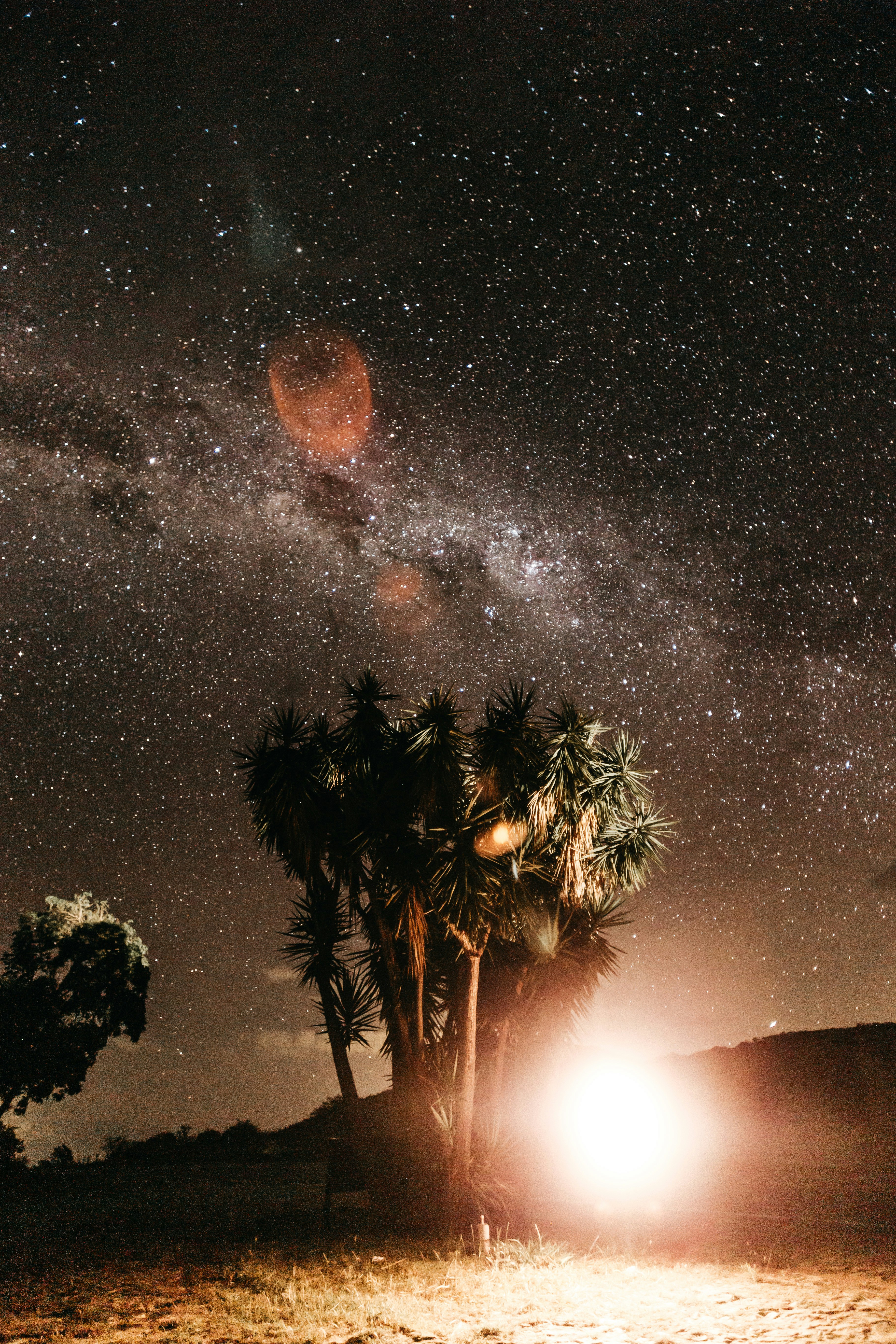 Milky Way Over Night Wilderness