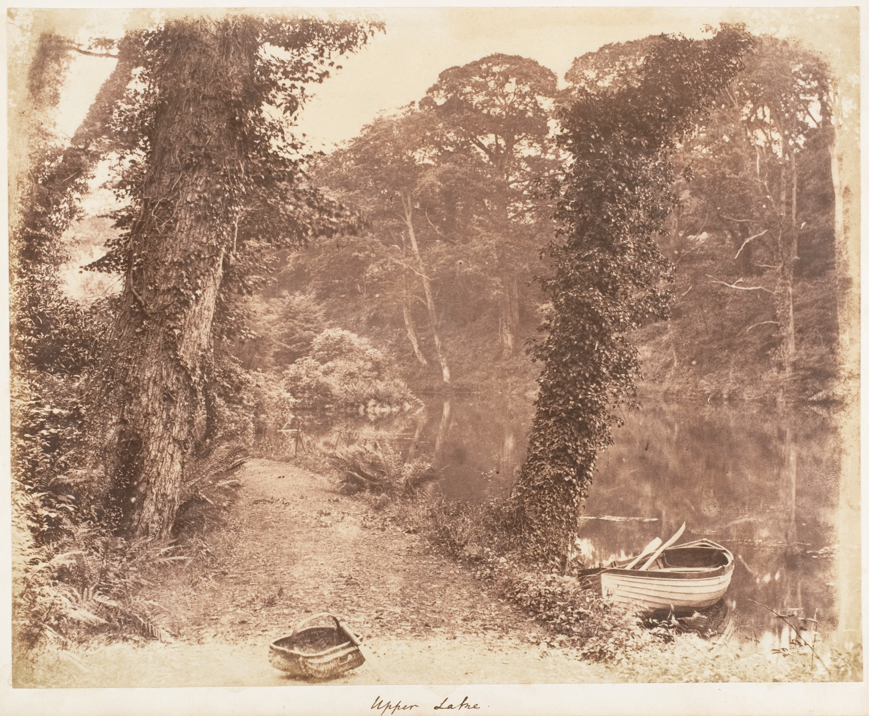 Upper Lake Lakeside Scene