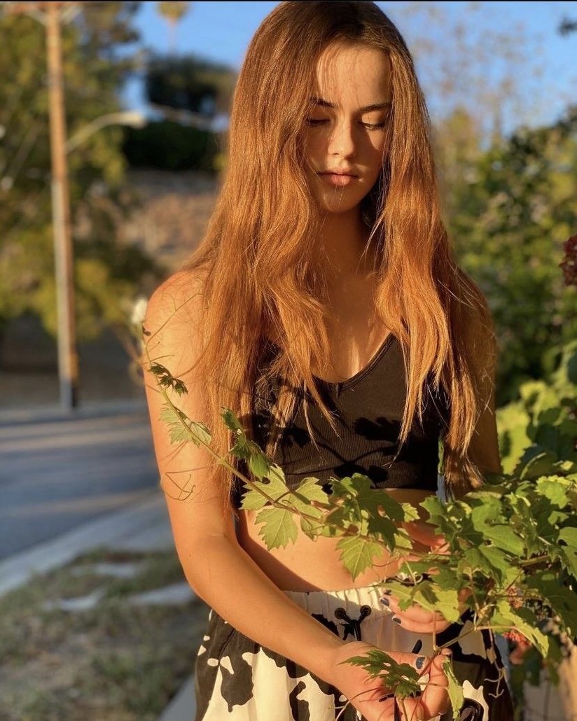 Forest & Flora