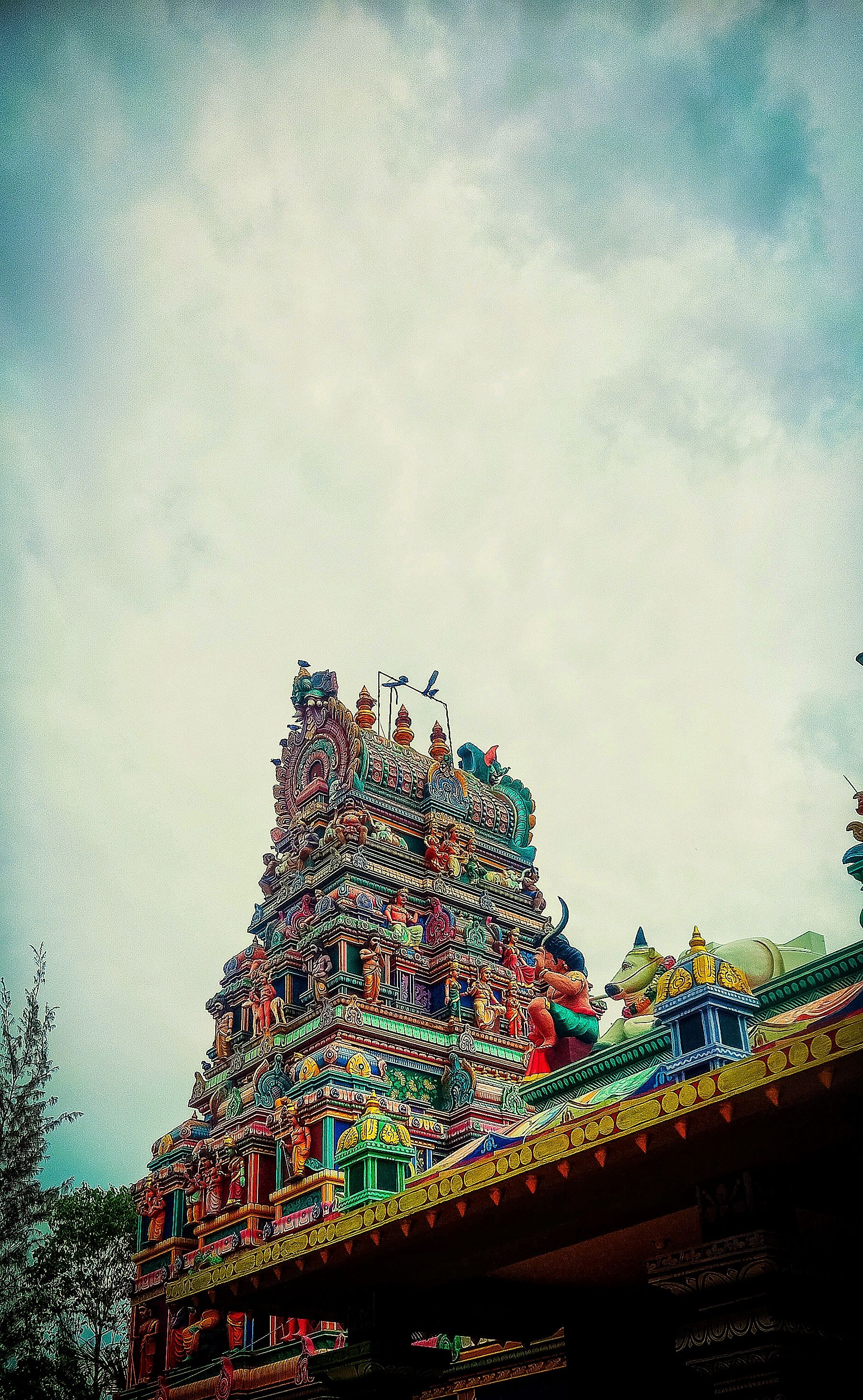 Wallpapers