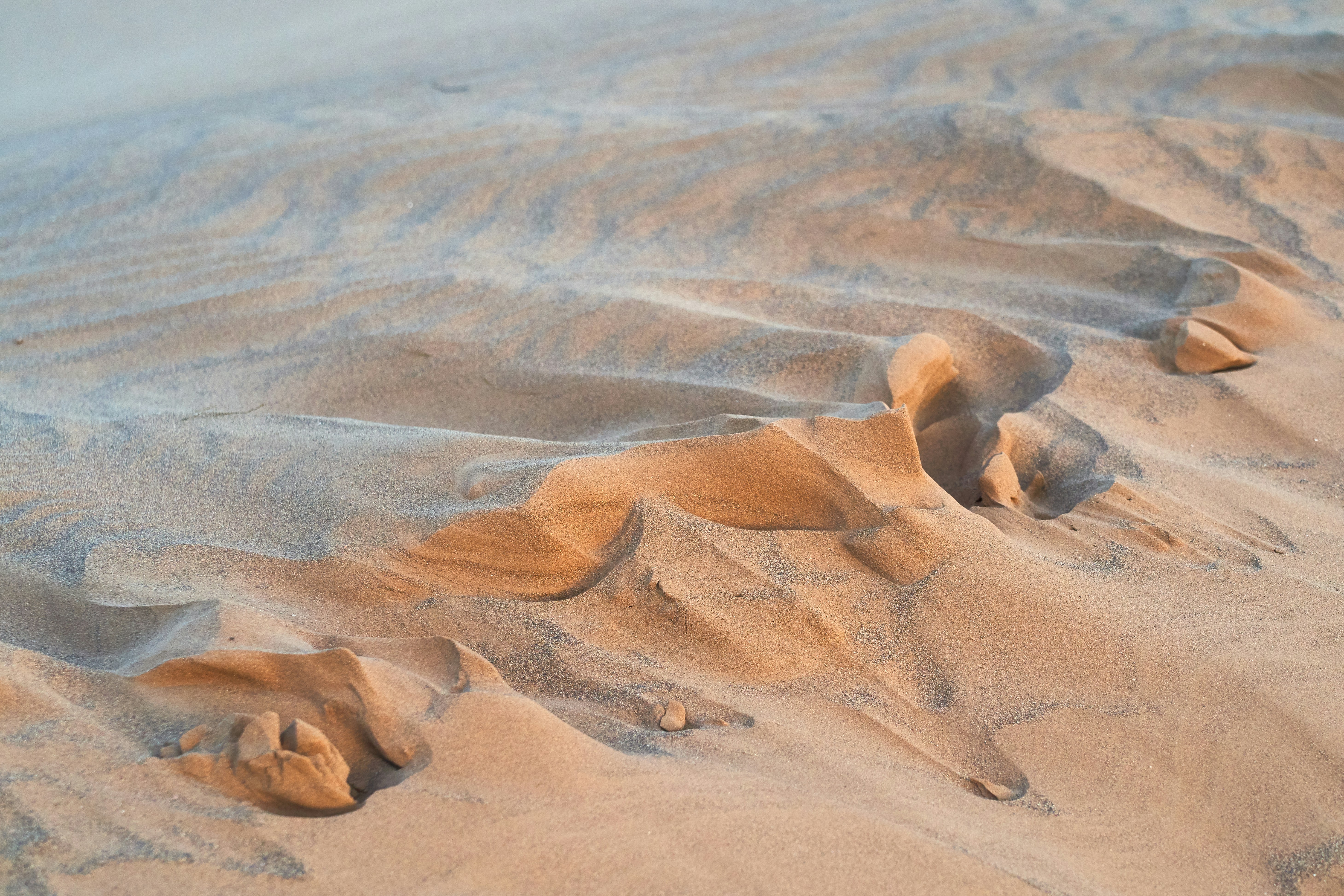 Wind-Shaped Sand Dune Texture