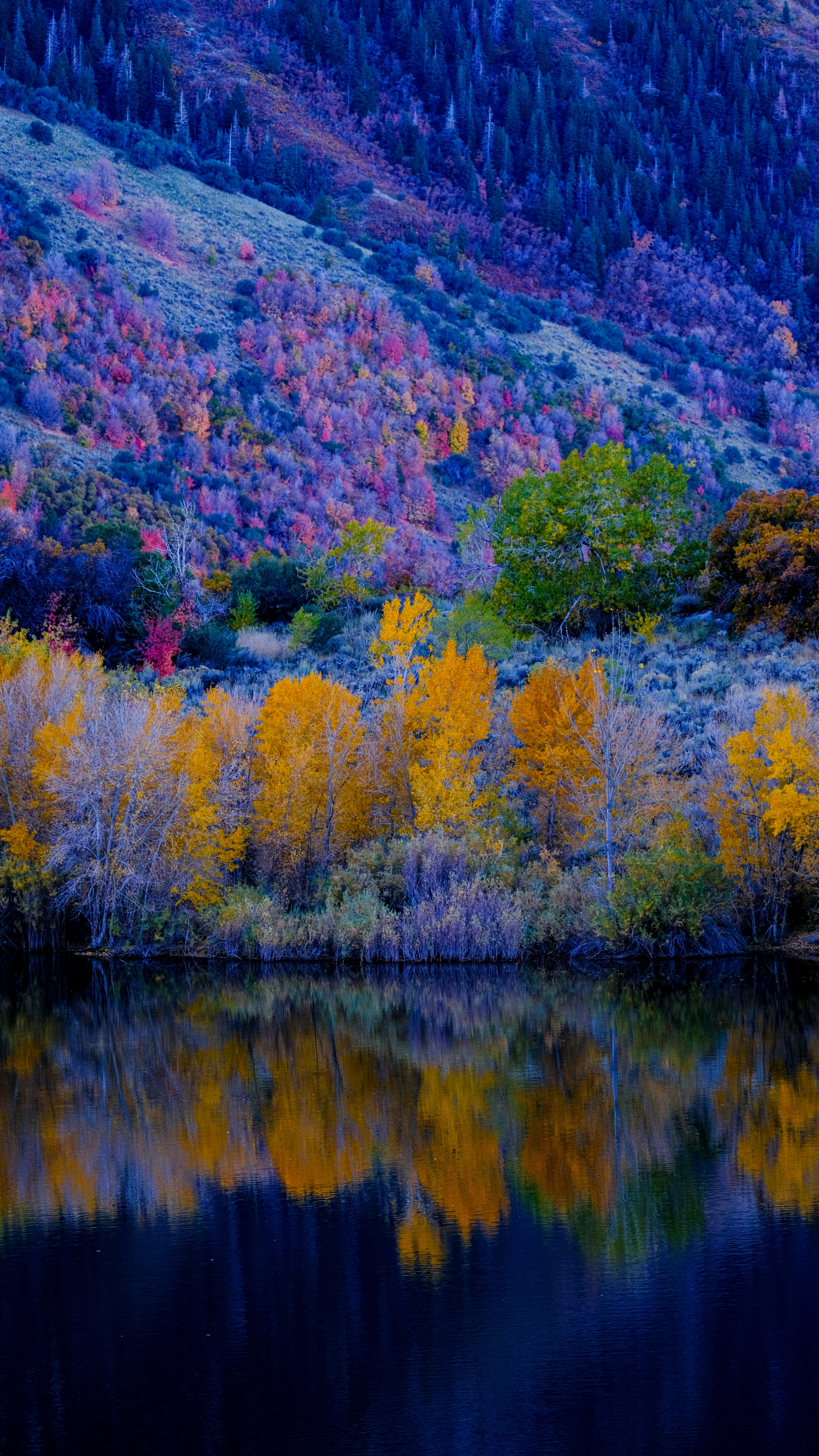 Autumn Mountain Lake Reflection