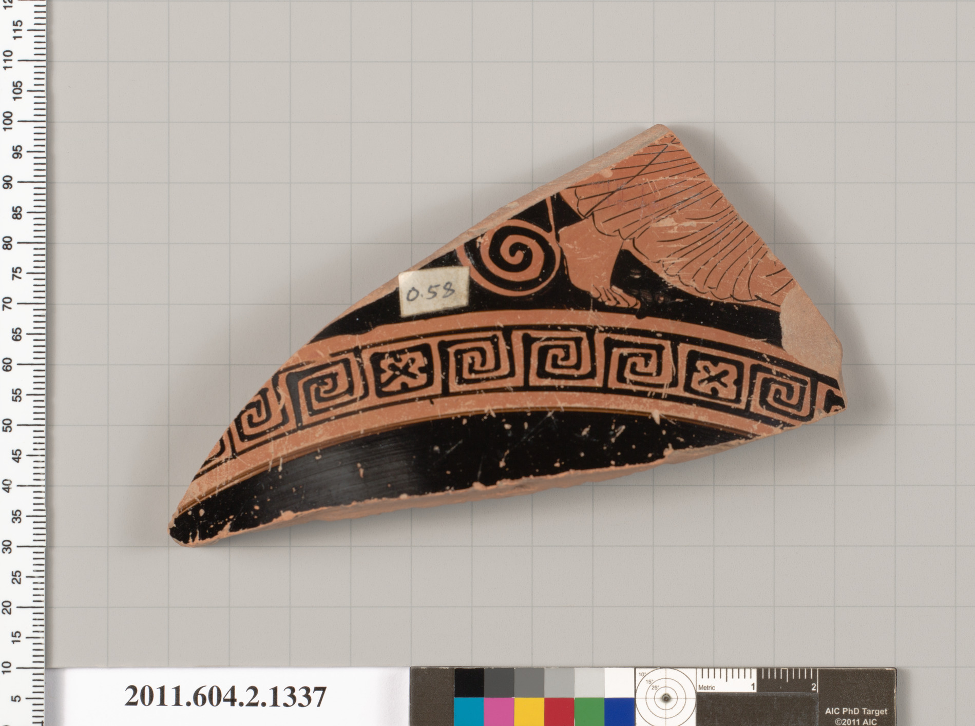 Ancient Greek Pottery Fragment