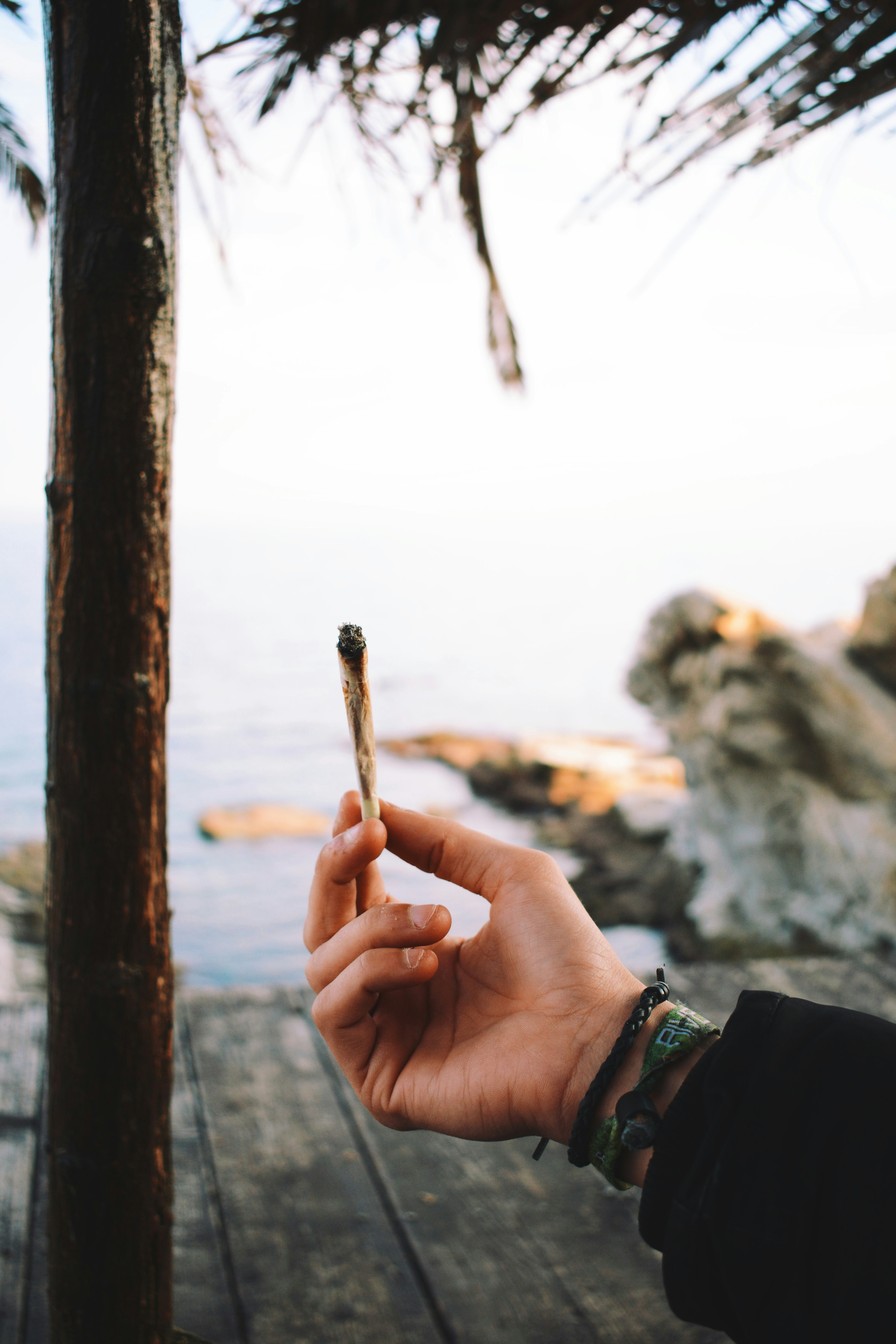 Hand Holding Joint At Seaside