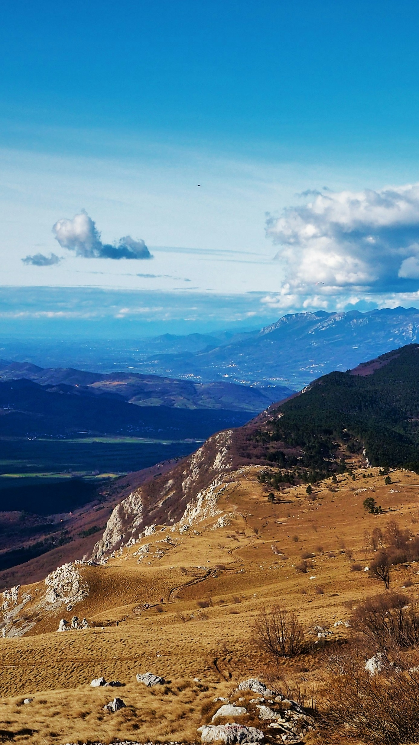 Landscapes