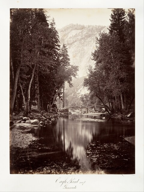 Eagle Point Yosemite River View
