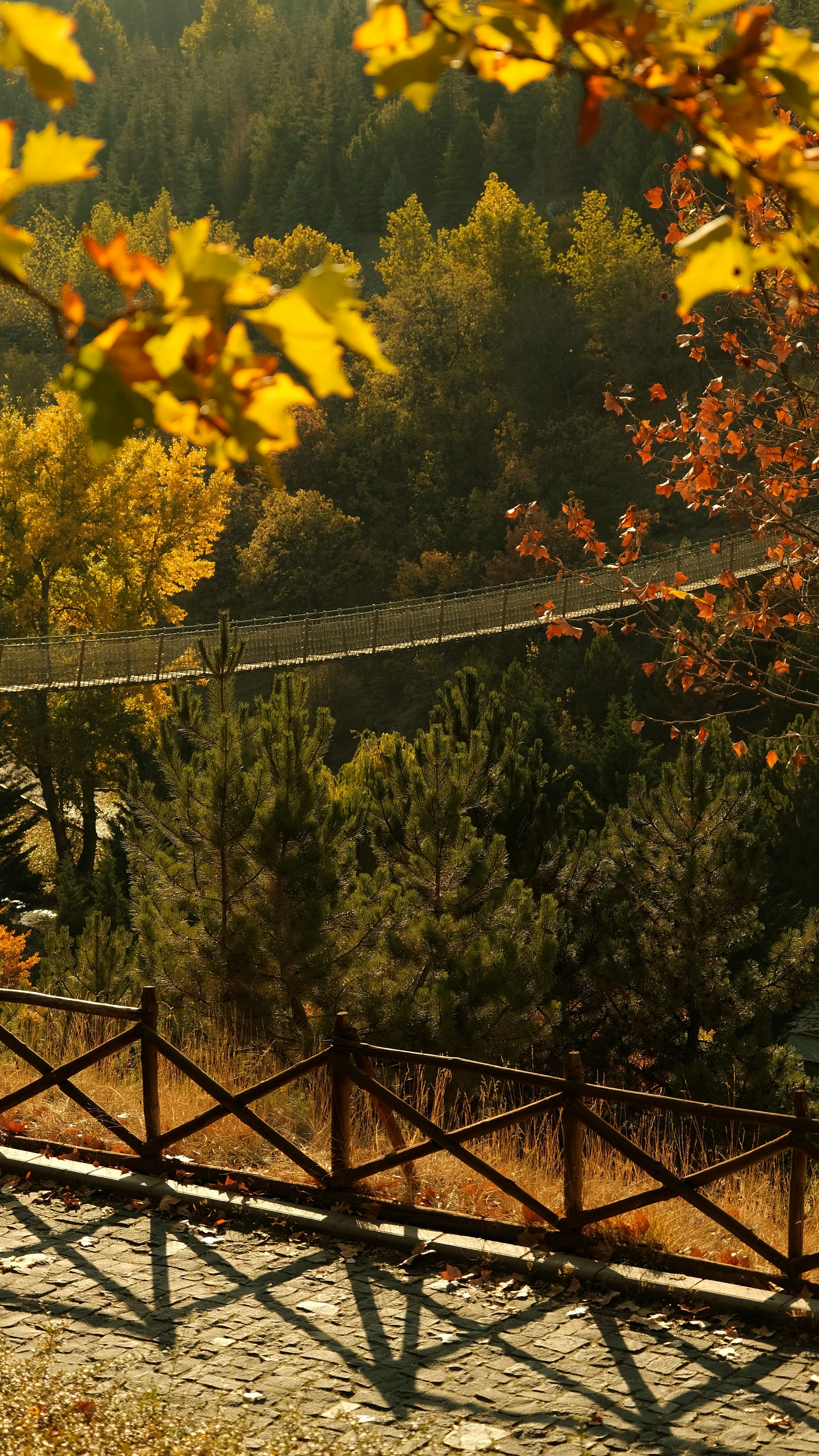 Wallpapers