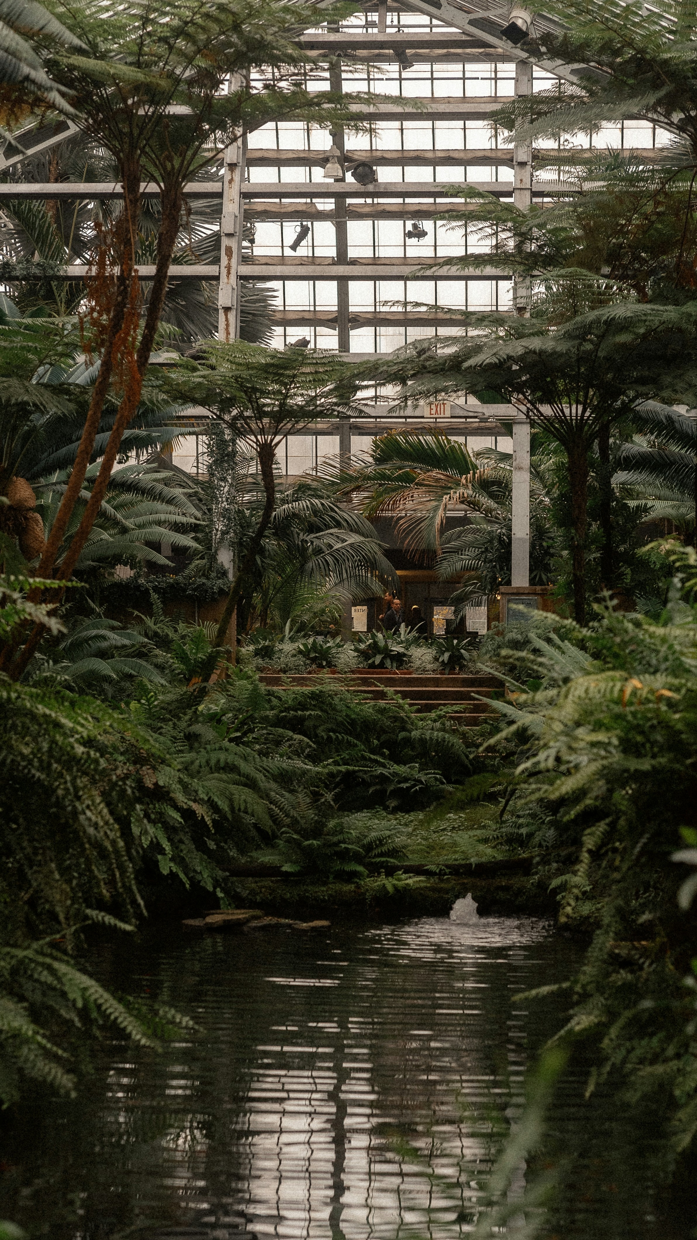 Lush Greenhouse Interior with Pond