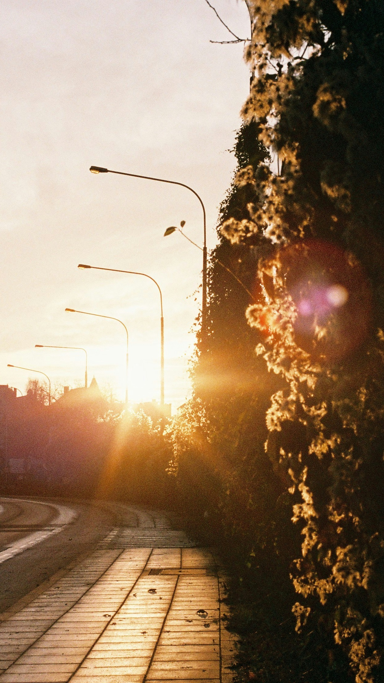 Wallpapers