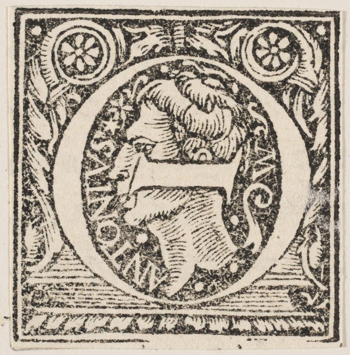 Woodcut Decorated Initial Letter E