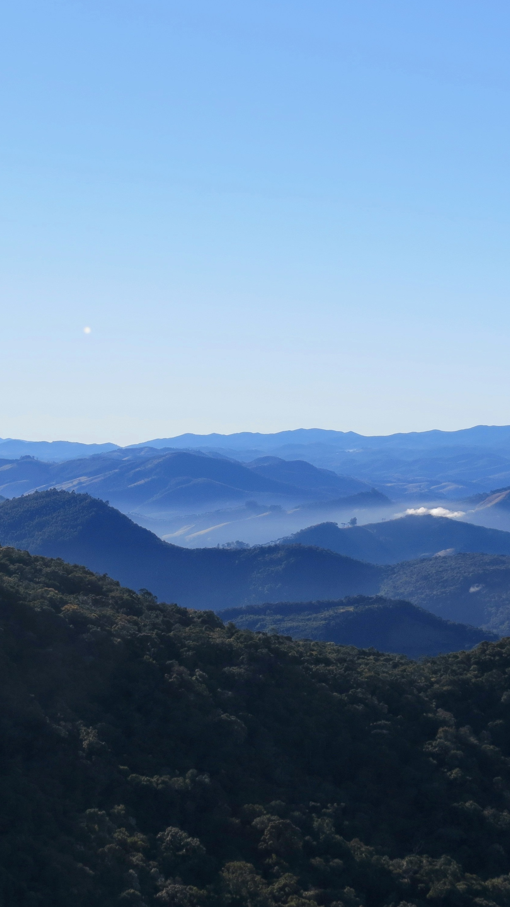 Layered Forested Mountain View