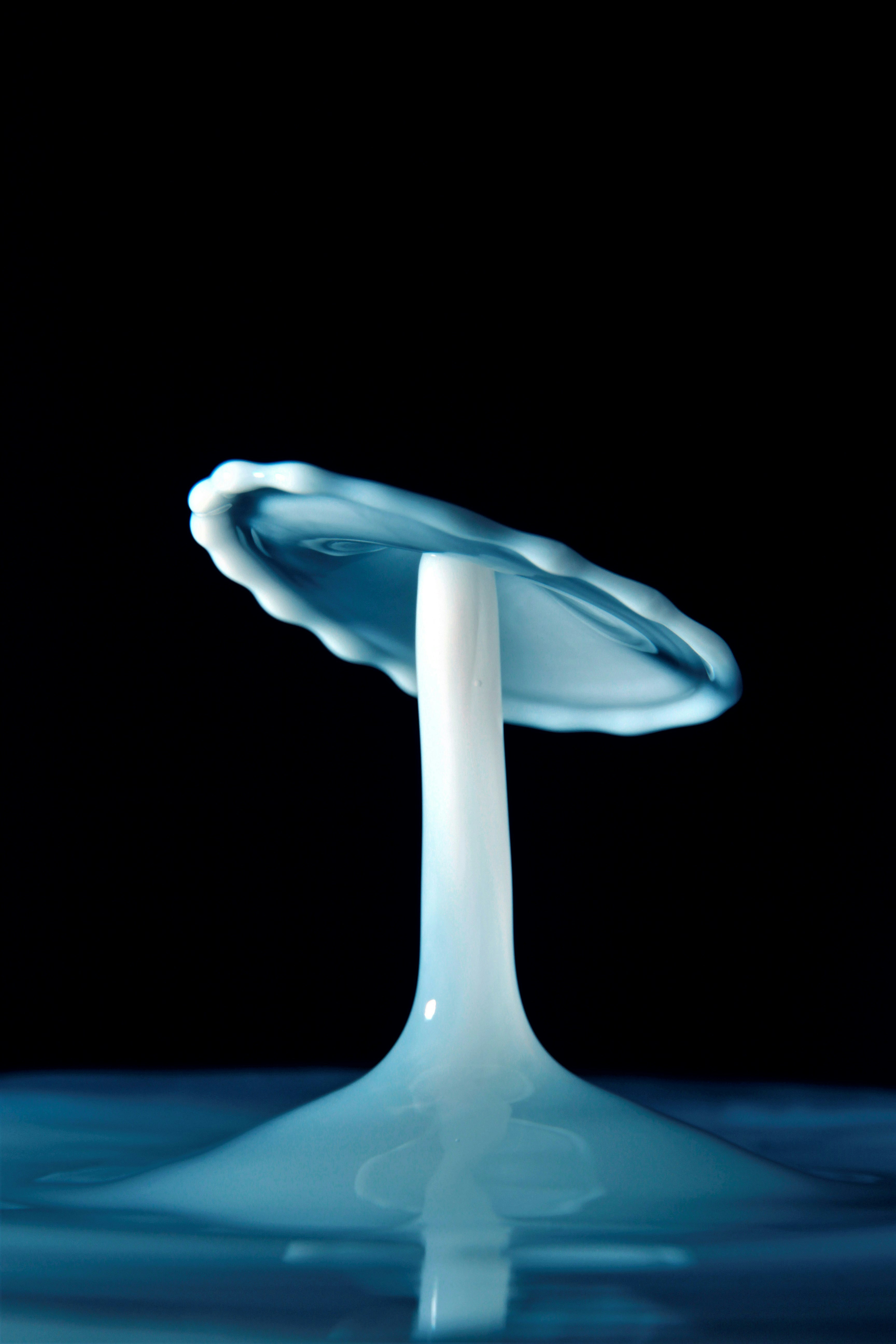 Mushroom Shaped Liquid Splash