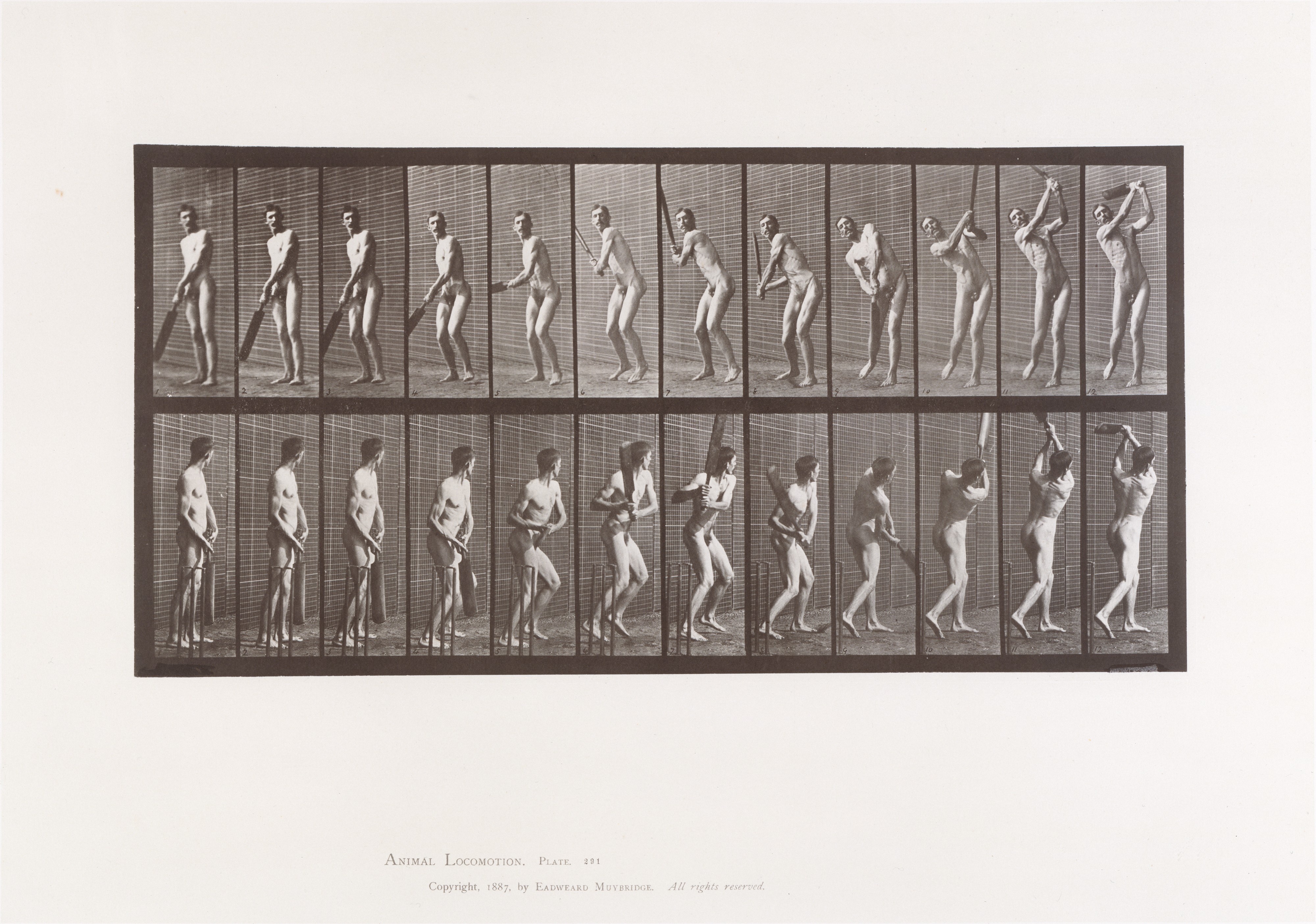 Nude Man Cricket Batting Motion Study