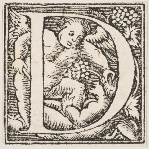 Woodcut Decorated Initial D