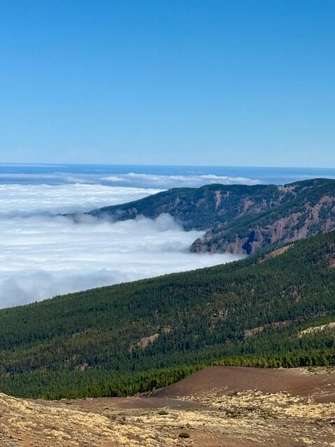 Mountain View Above Sea of Clouds