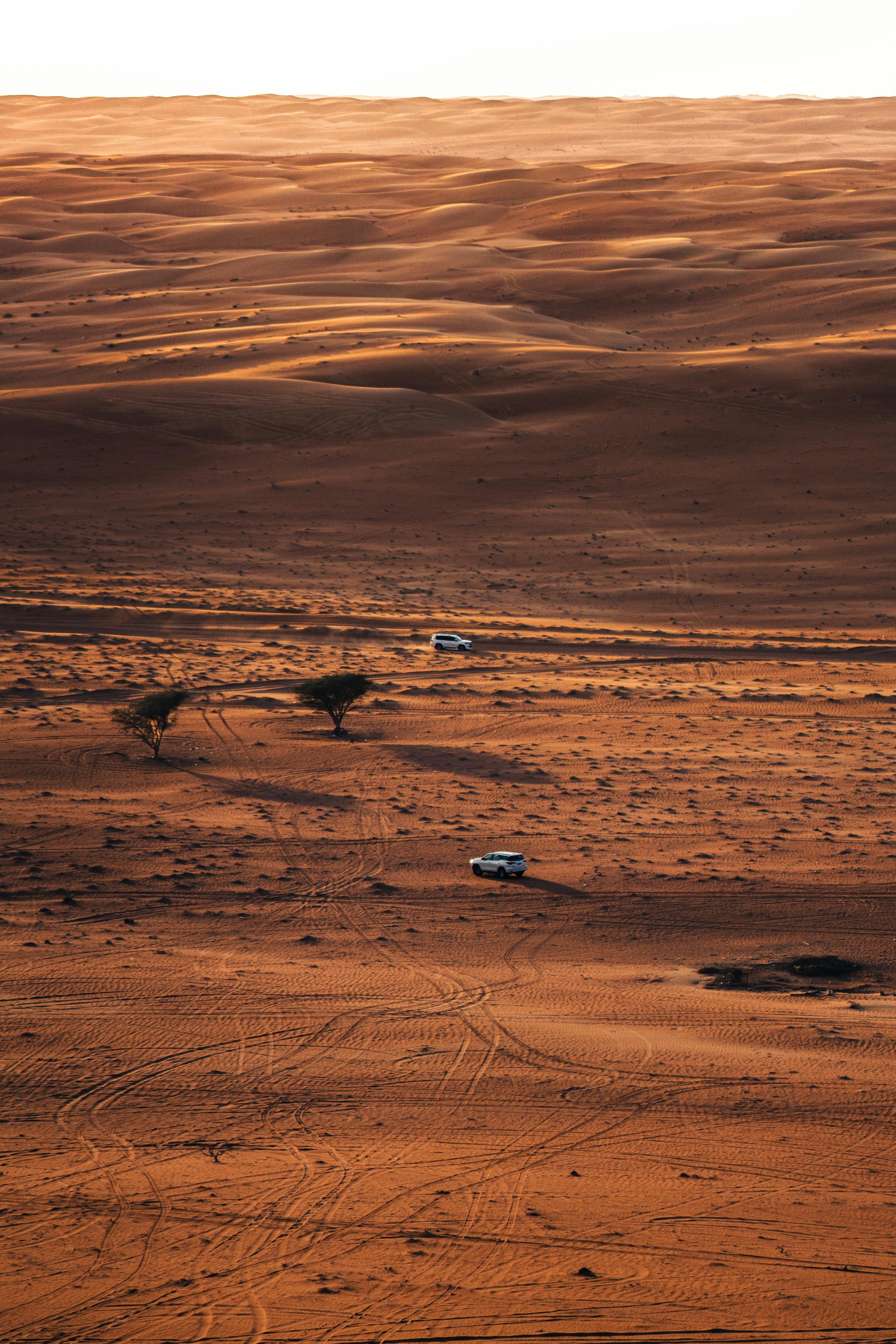 Desert Dune Off-road Safari