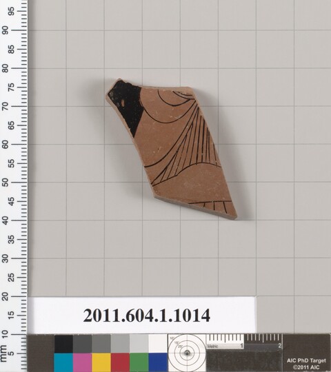 Cataloged Ancient Pottery Shard