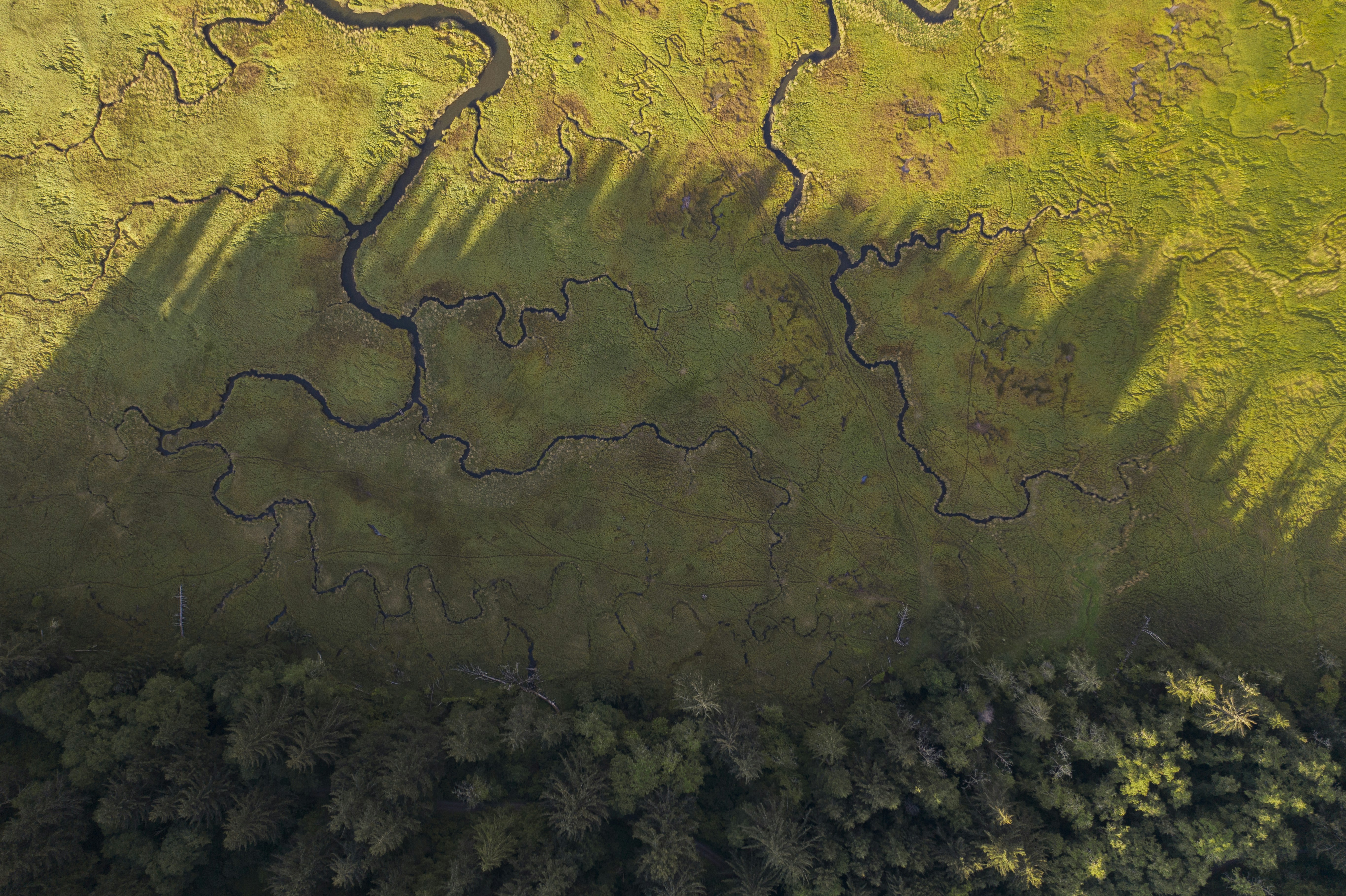 Aerial View of Meandering Wetland Creeks