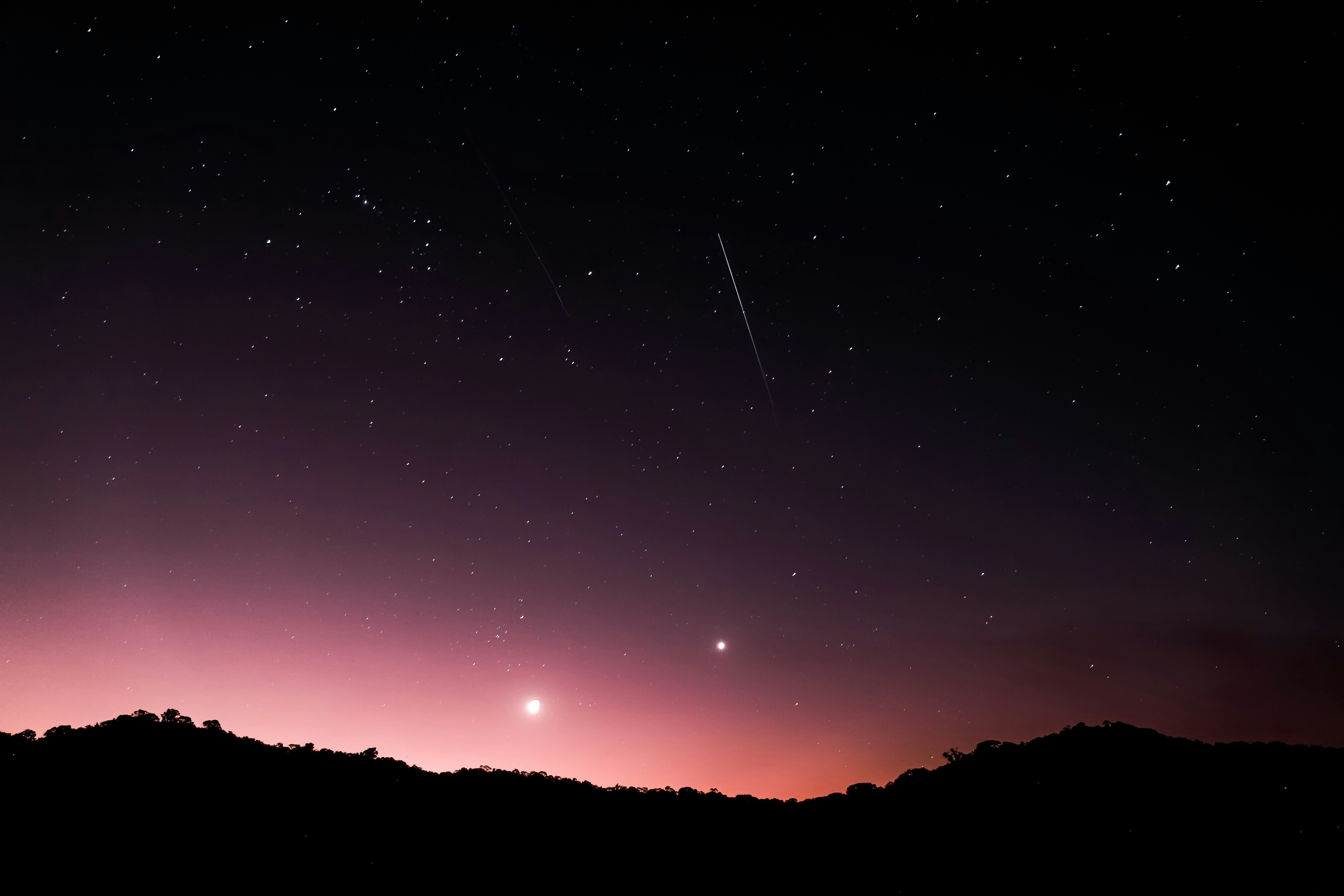 Meteors Over Forest Night Sky
