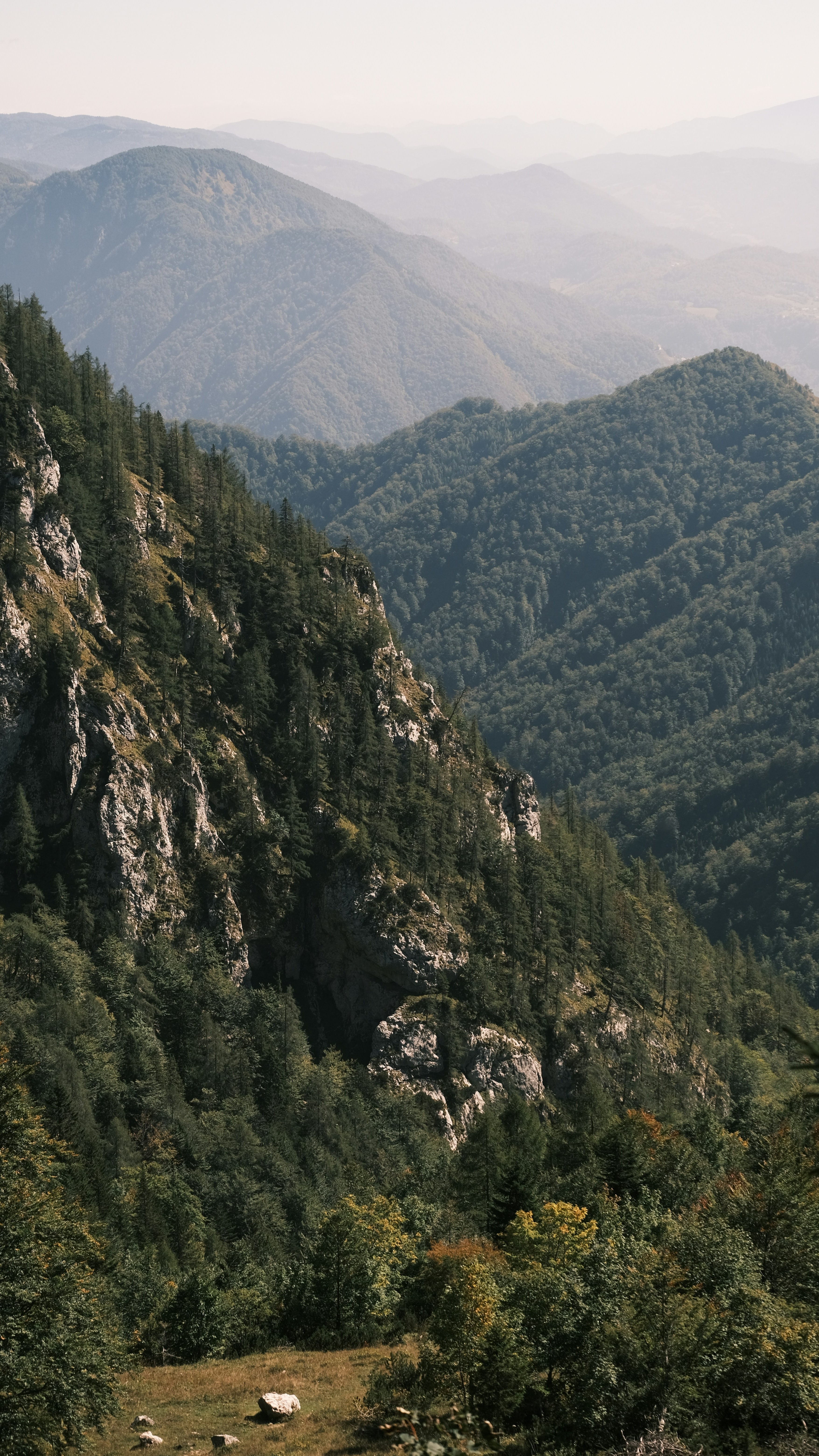 Landscapes
