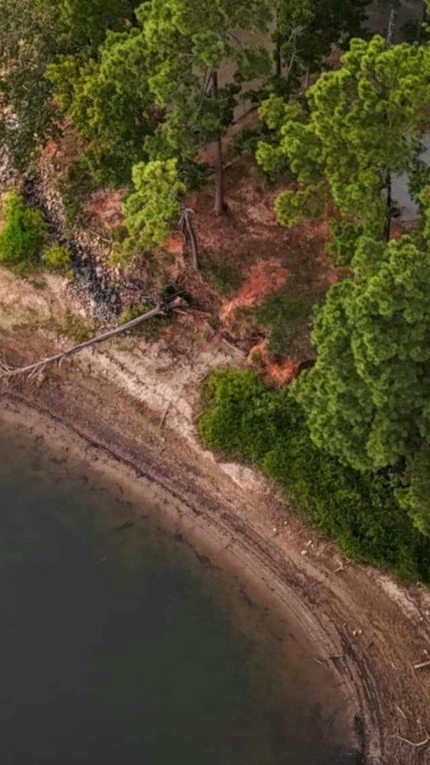Aerial View of Forested Lake Shore
