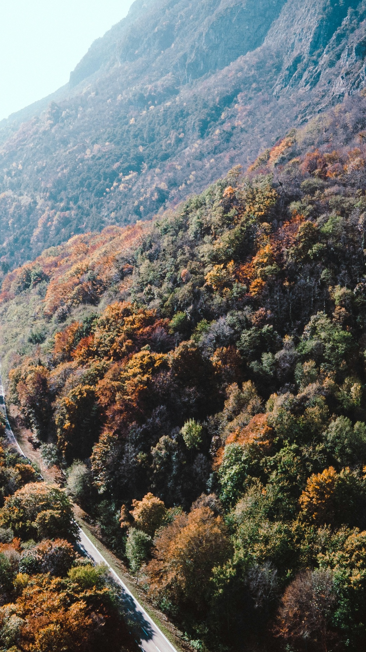 Wallpapers