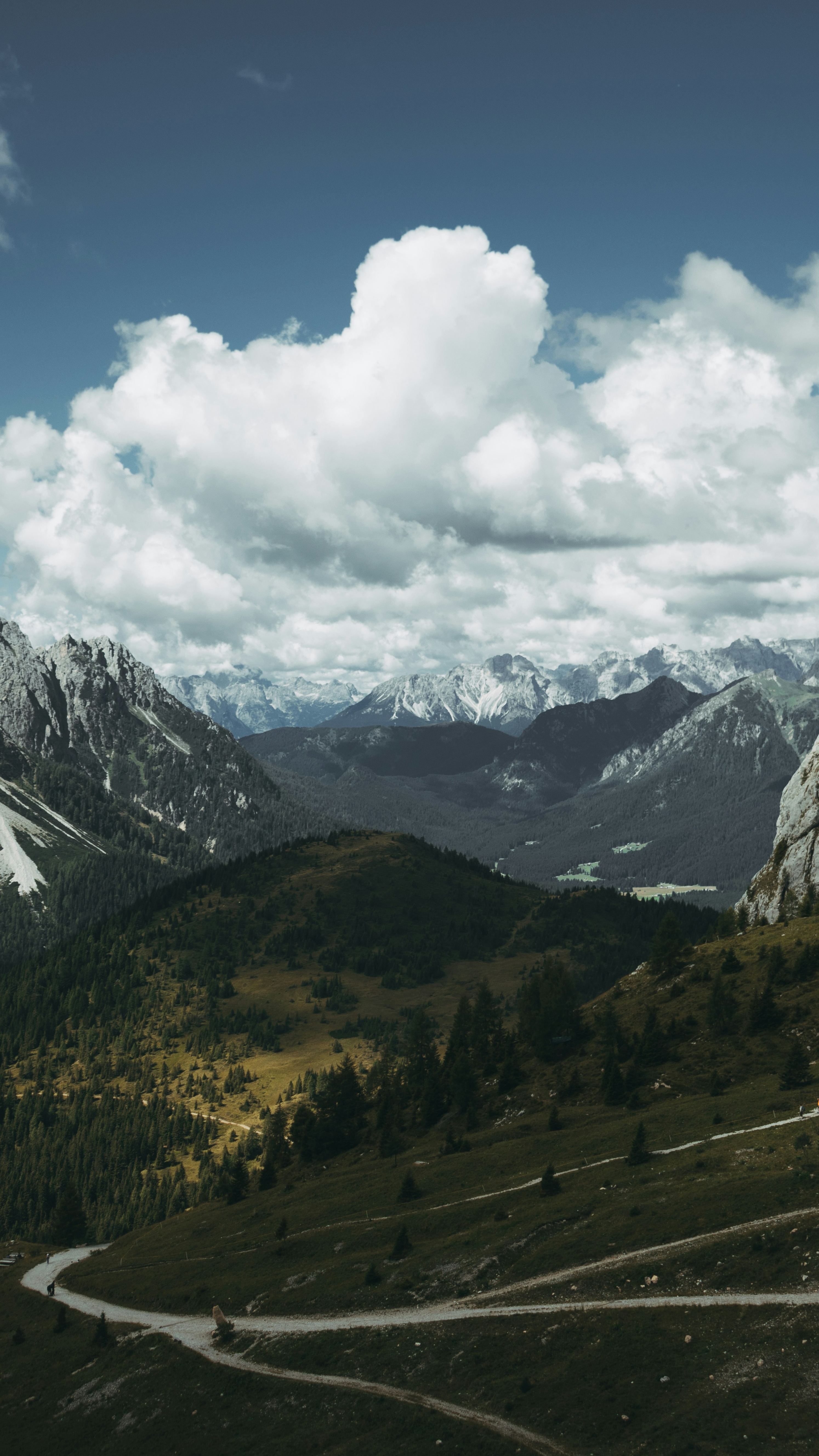 Wallpapers