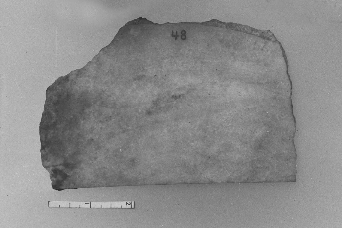 Numbered Geological Rock Specimen