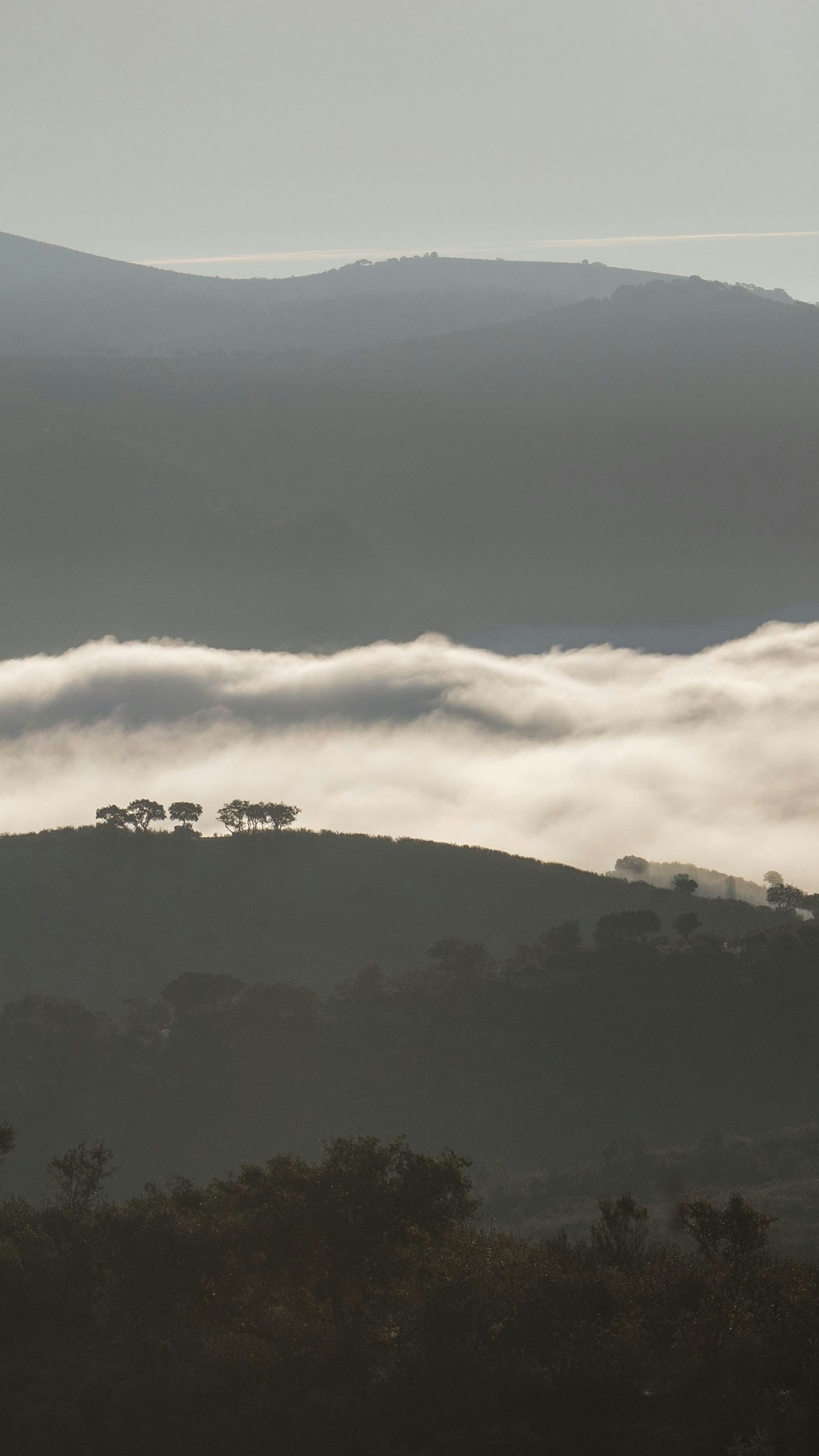 Landscapes