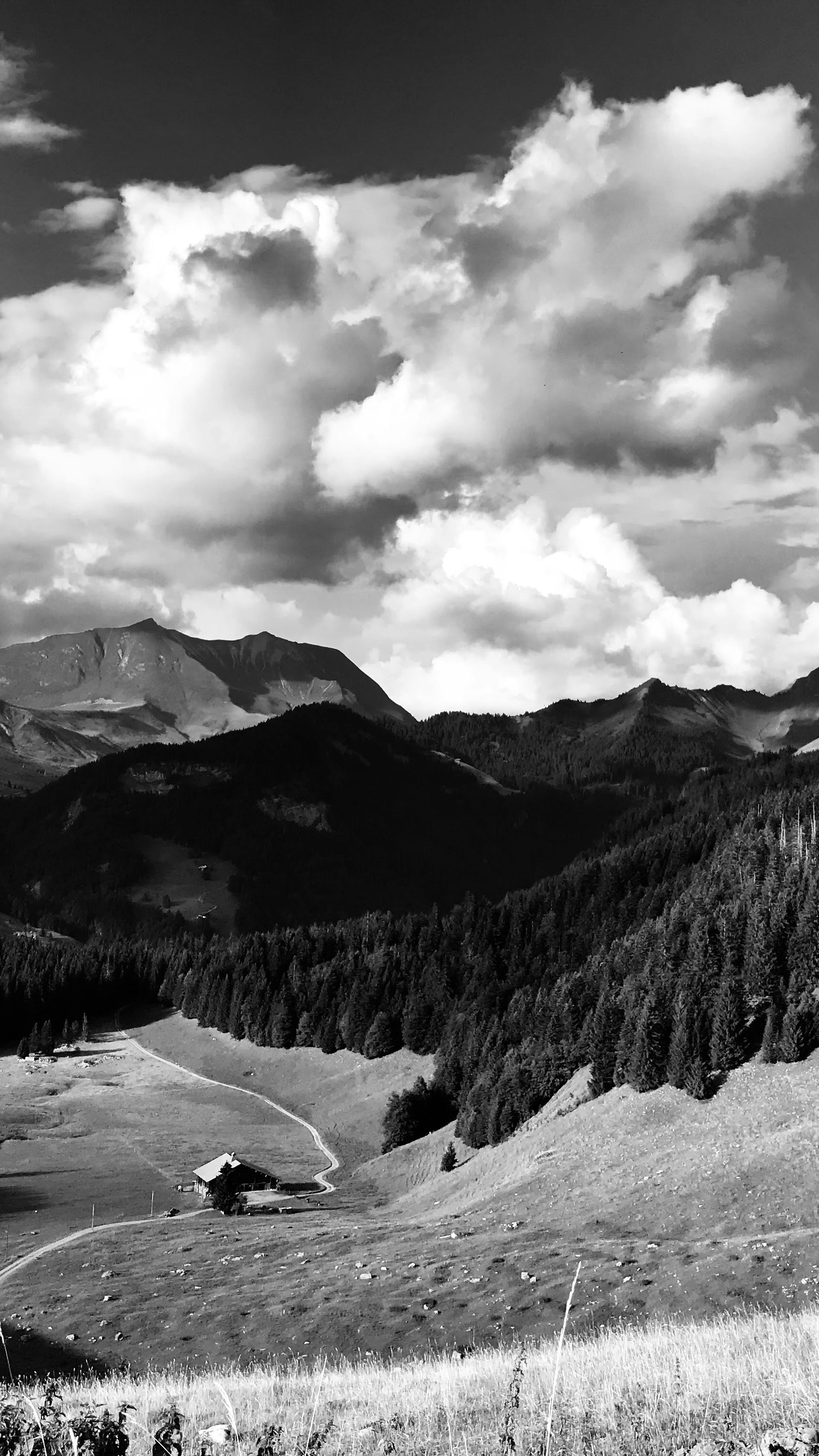 Black and White Mountain Valley Landscape