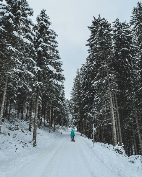 Hiker Pulling Sled in Snowy Forest