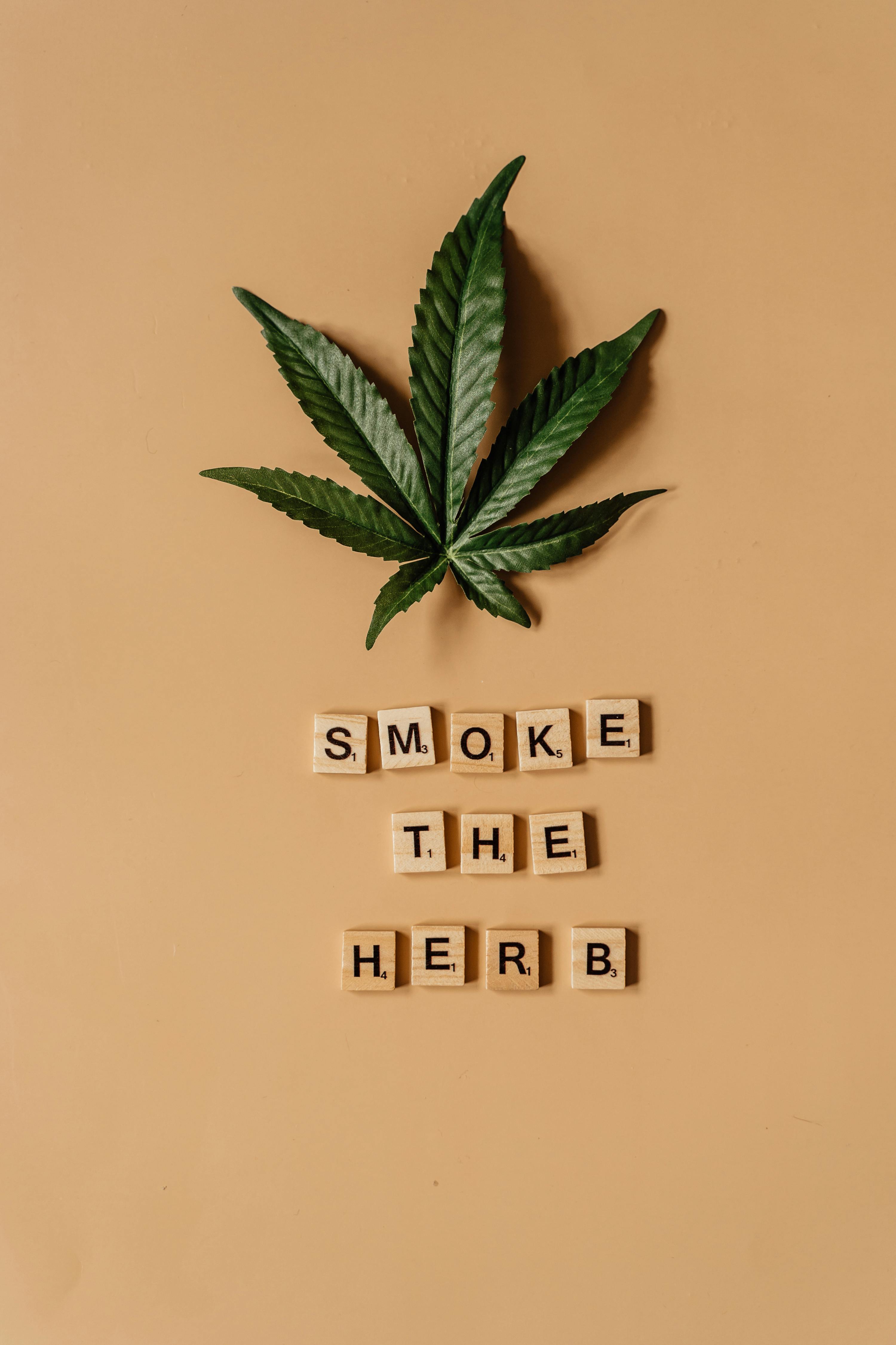 Cannabis Leaf and Smoke The Herb Text