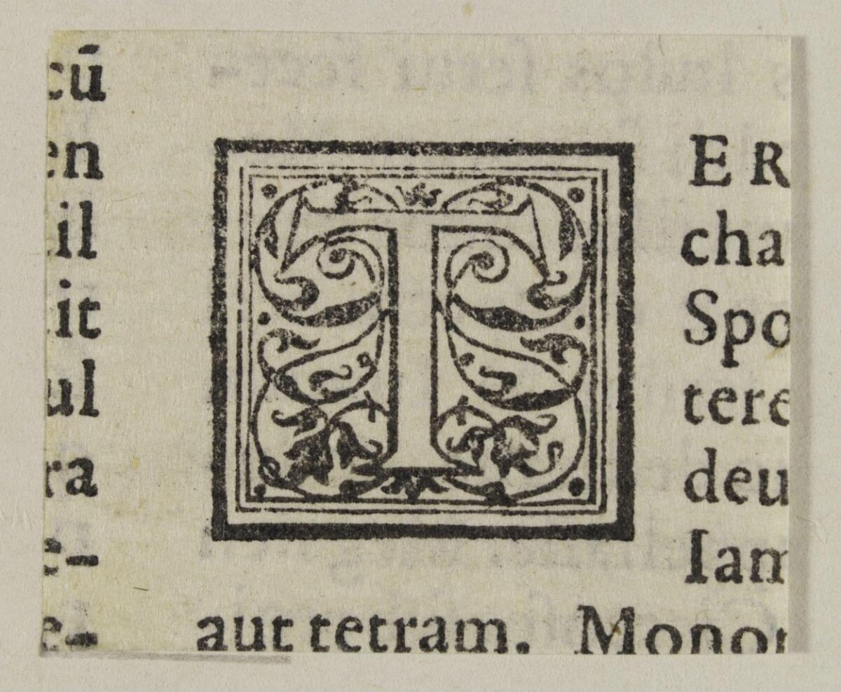 Antique Decorated Initial I Print