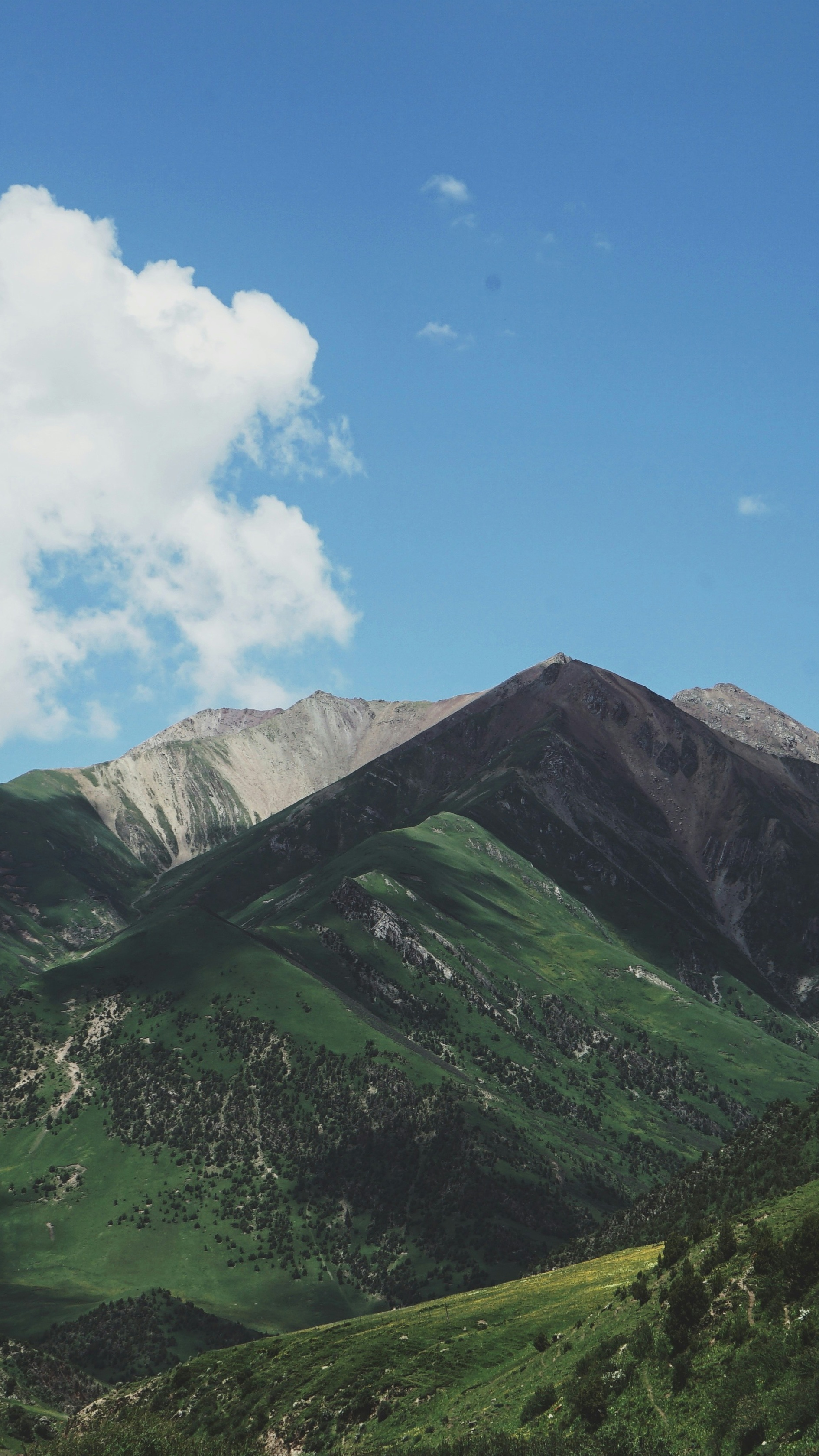 Landscapes
