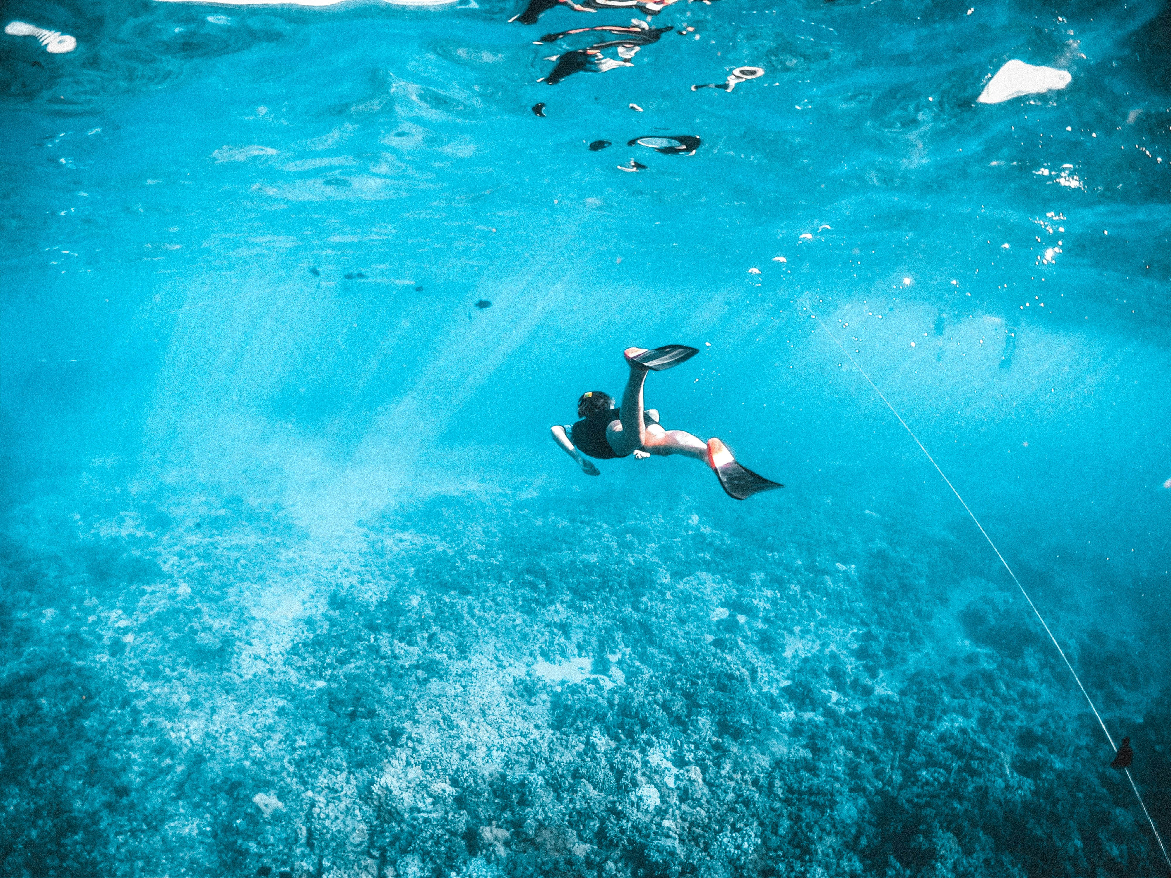 Freediver Diving Over Coral Reef