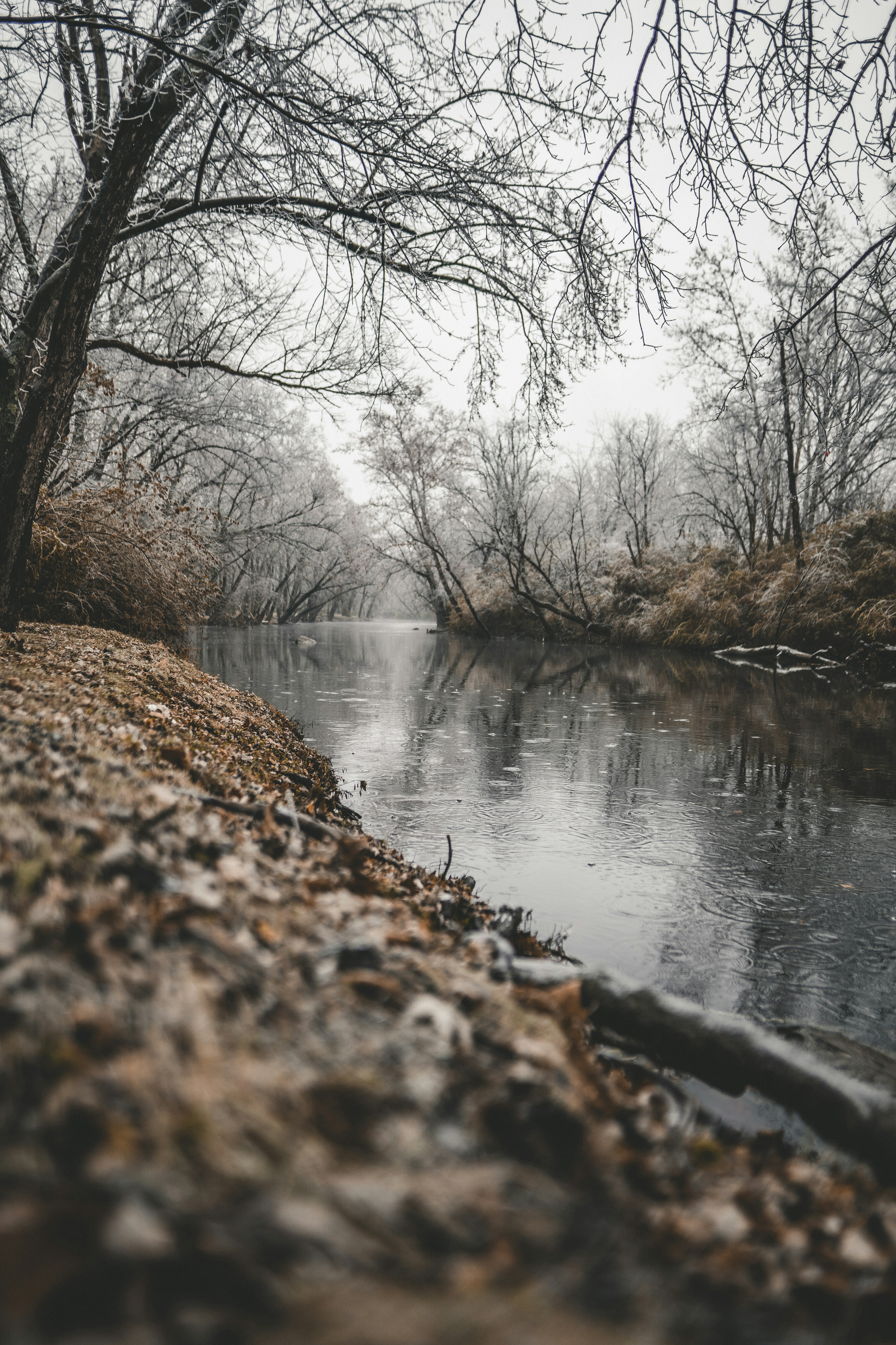 Frosty Winter River Landscape