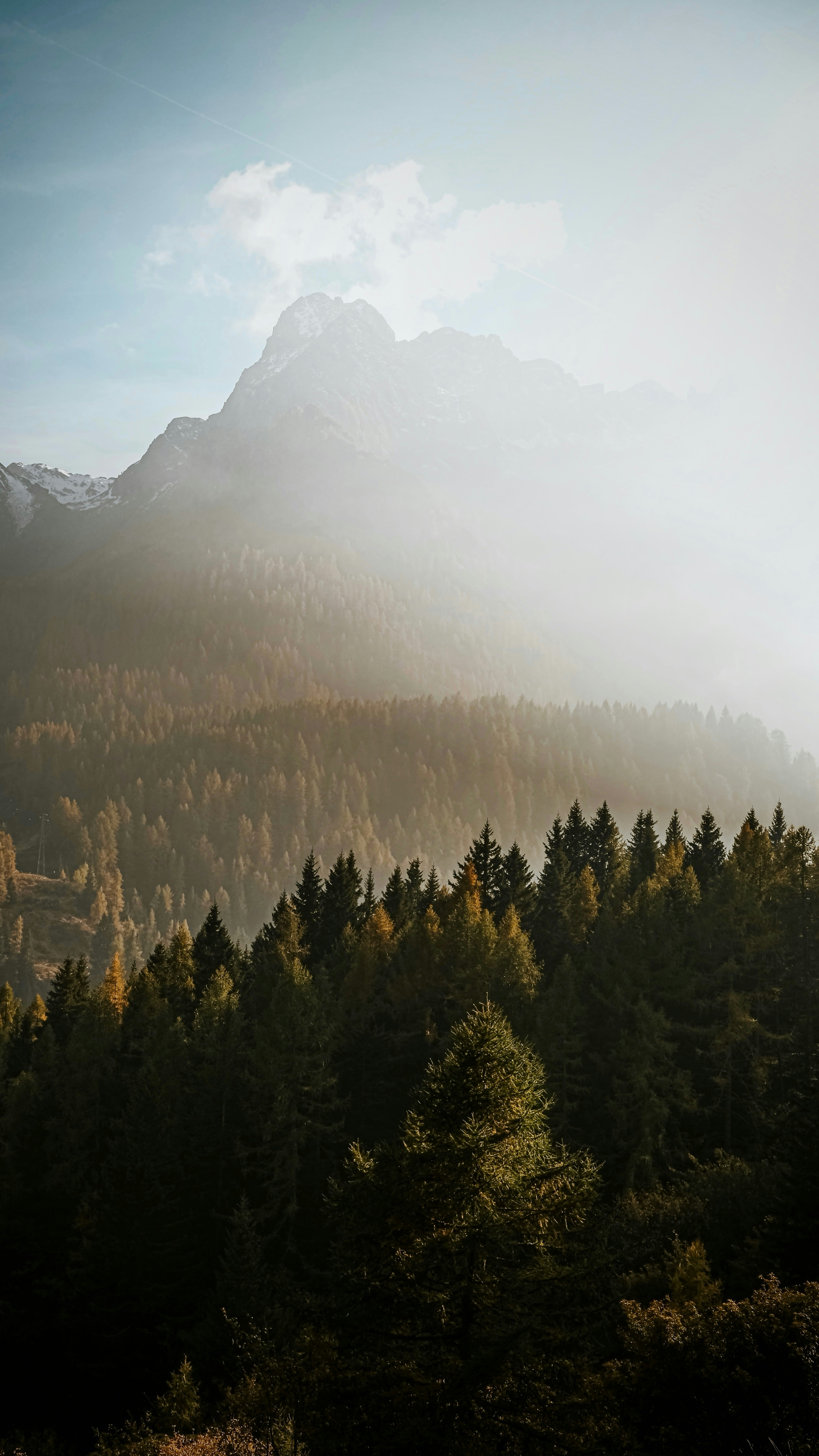Wallpapers