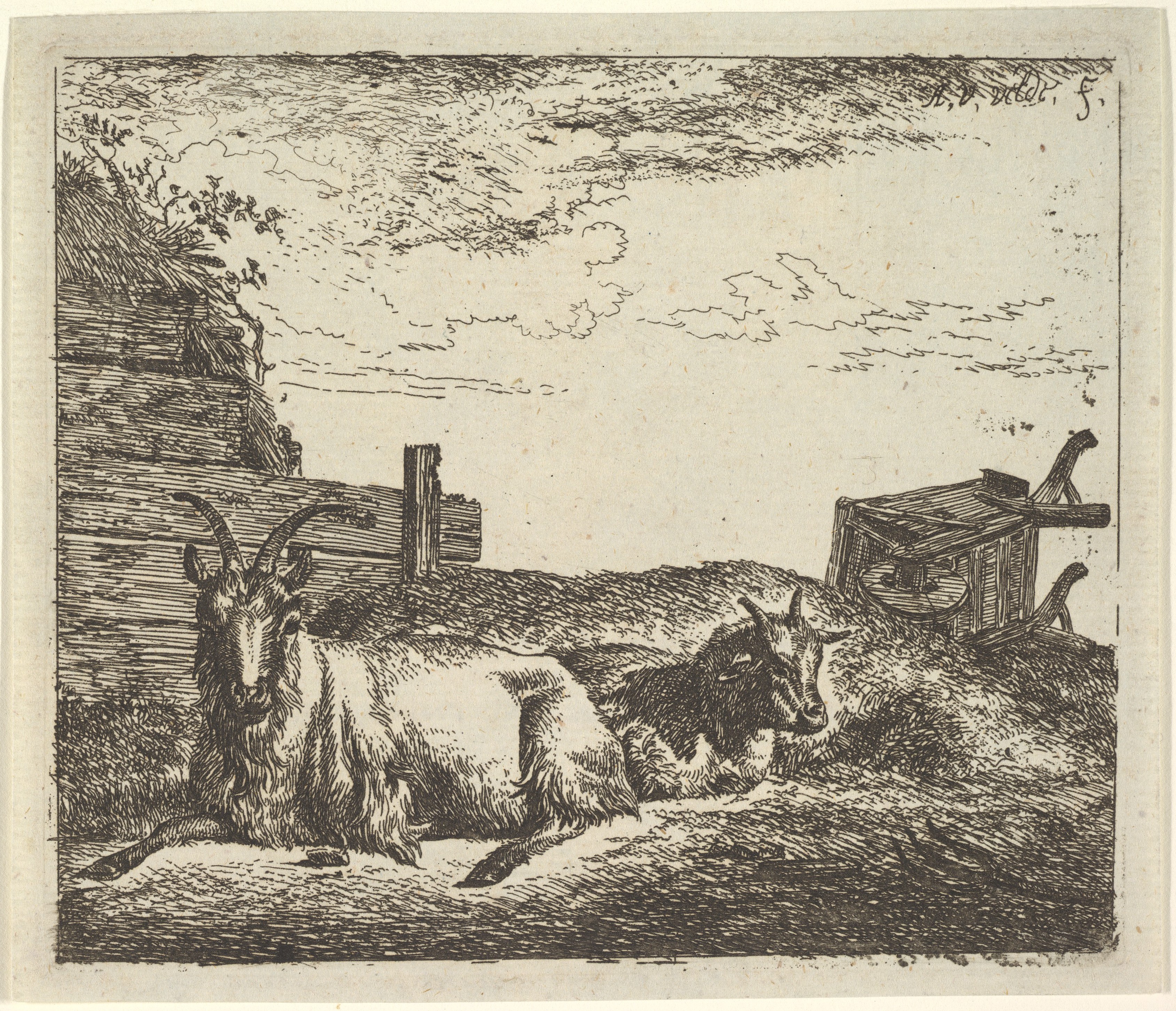 Two Resting Goats