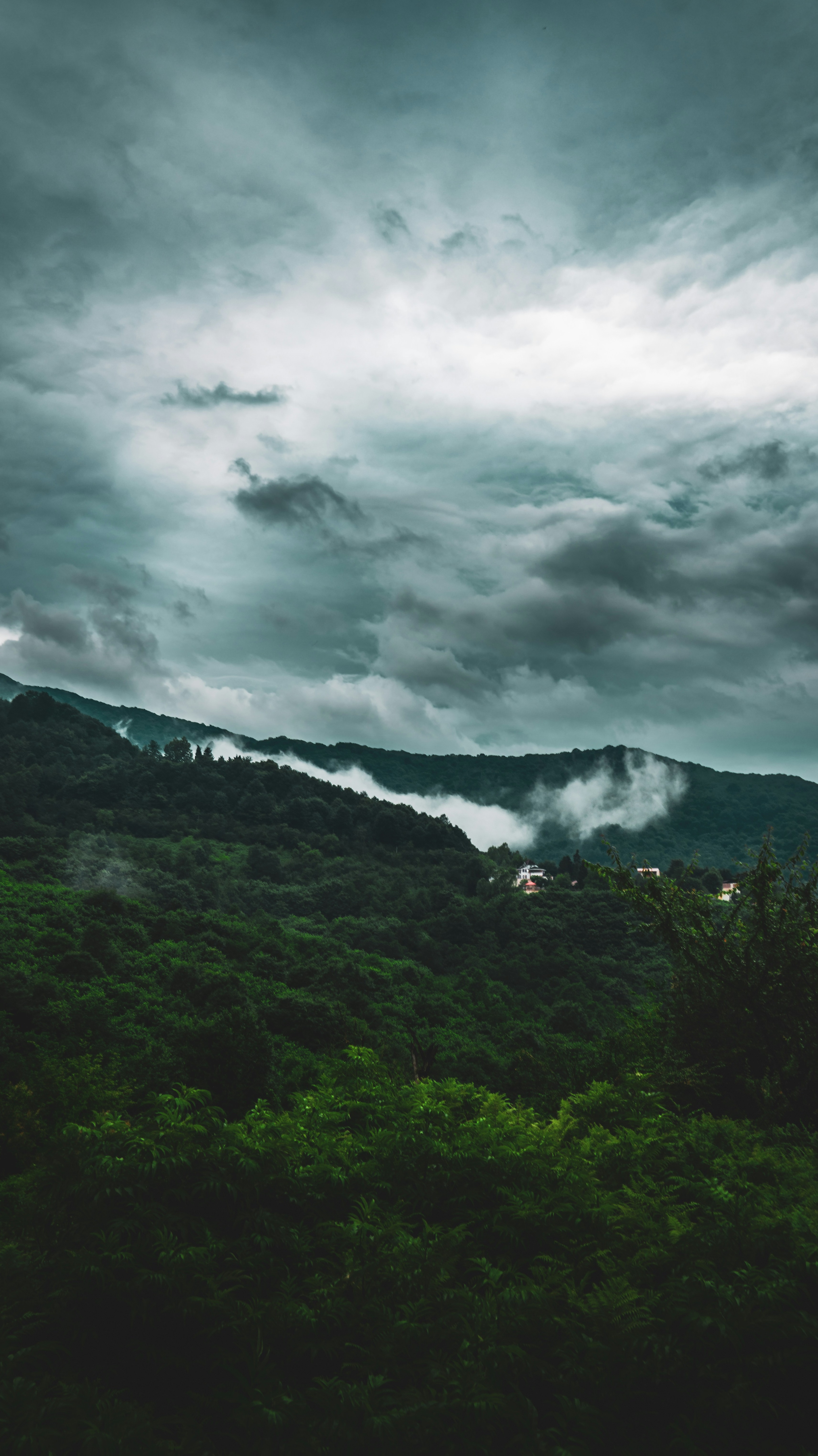 Landscapes