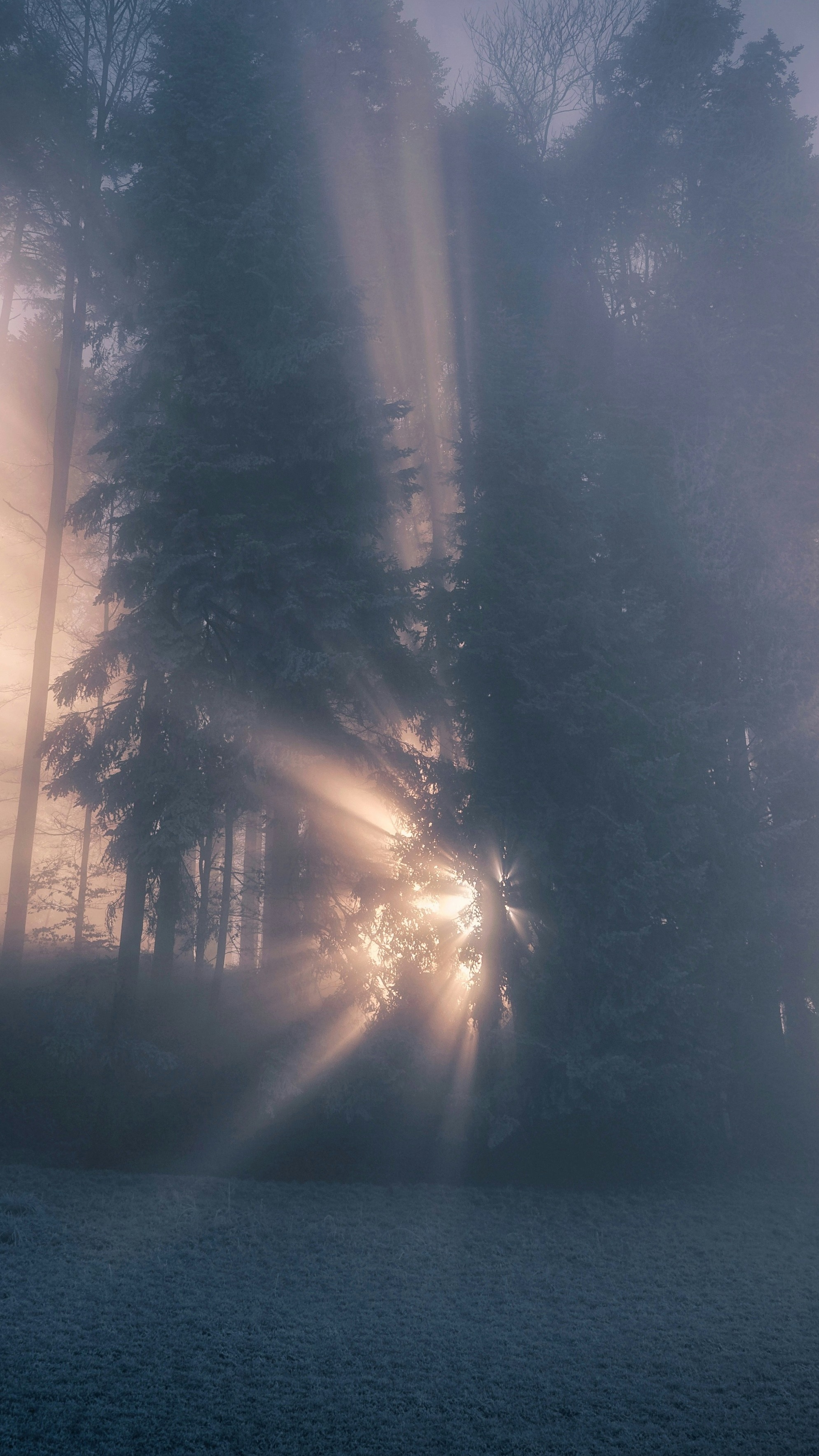 Wallpapers