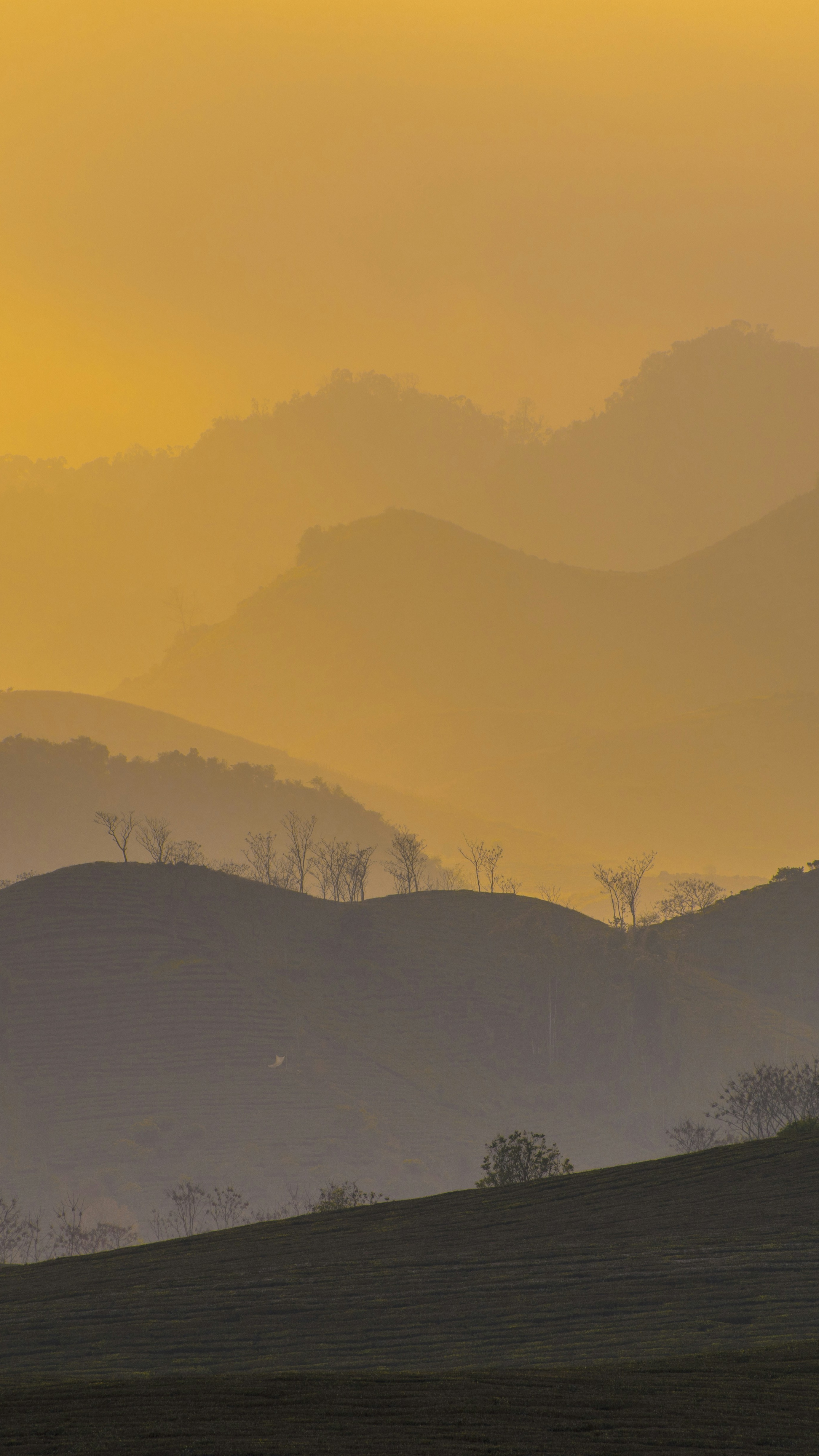 Landscapes