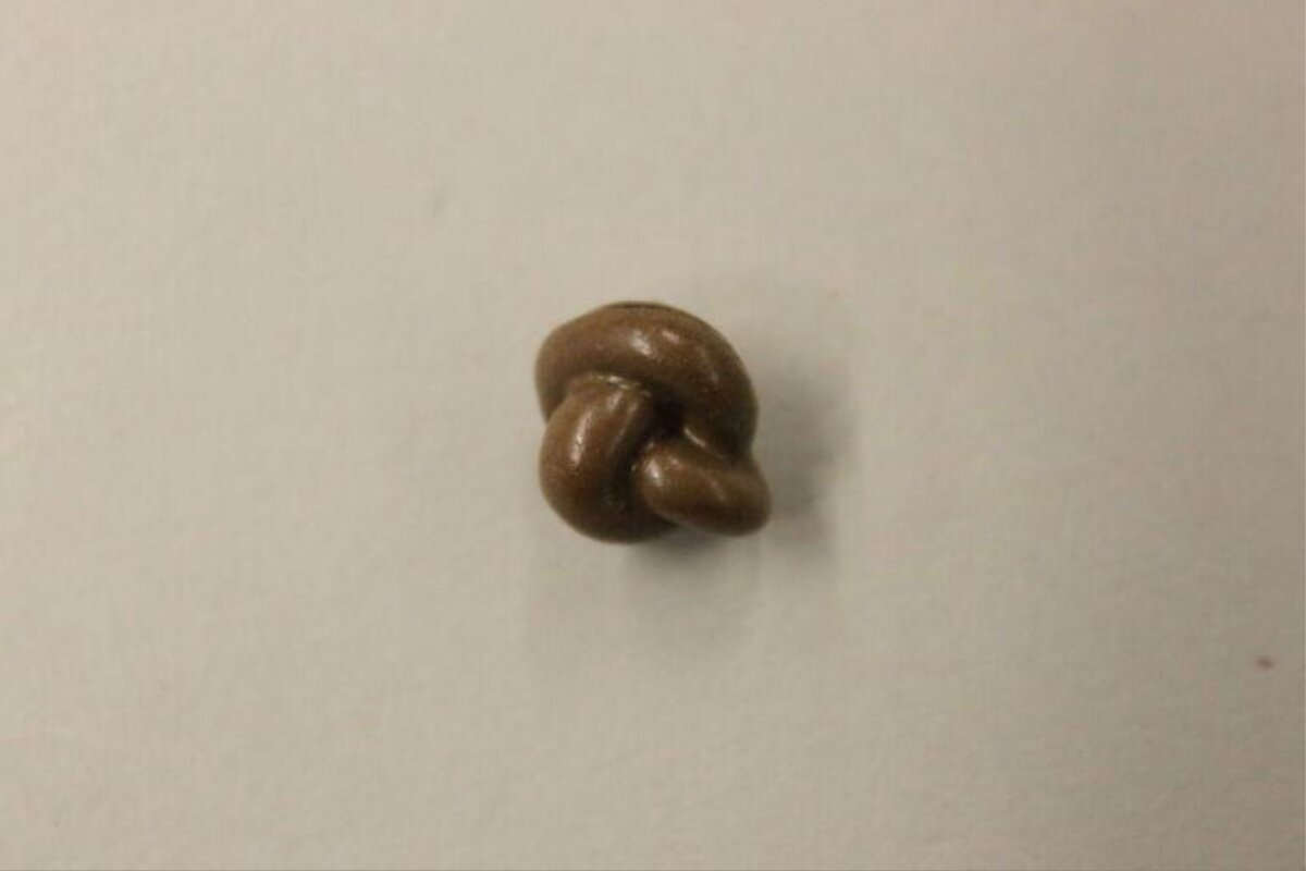 Knot-Shaped Brown Small Object