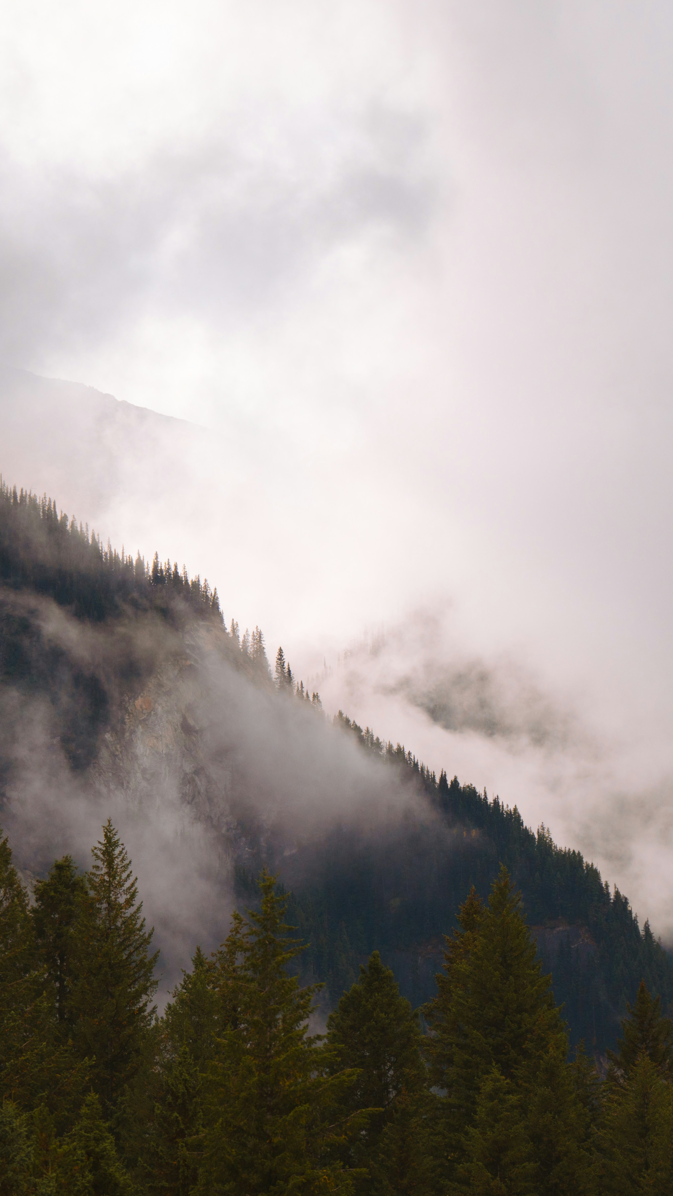 Landscapes
