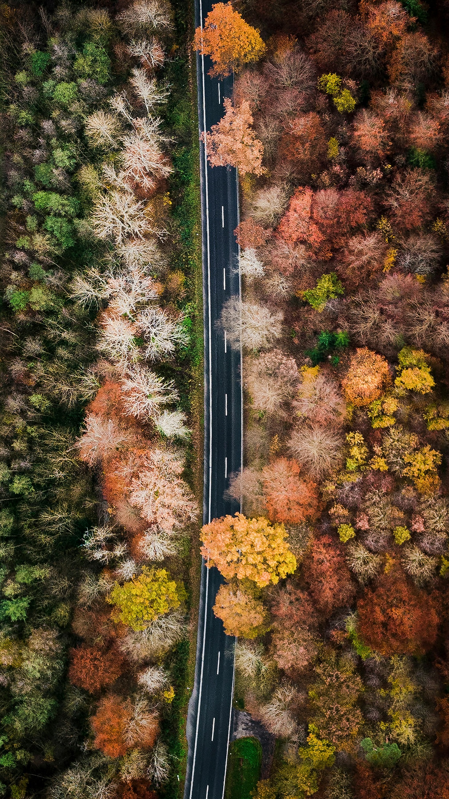 Wallpapers