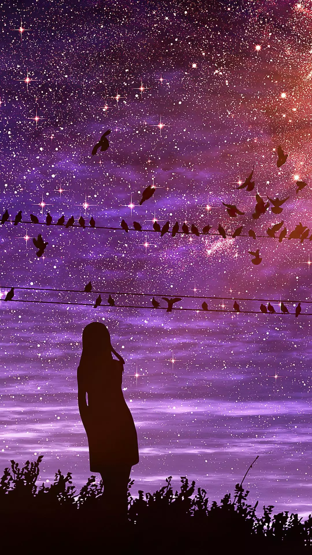 Wallpapers