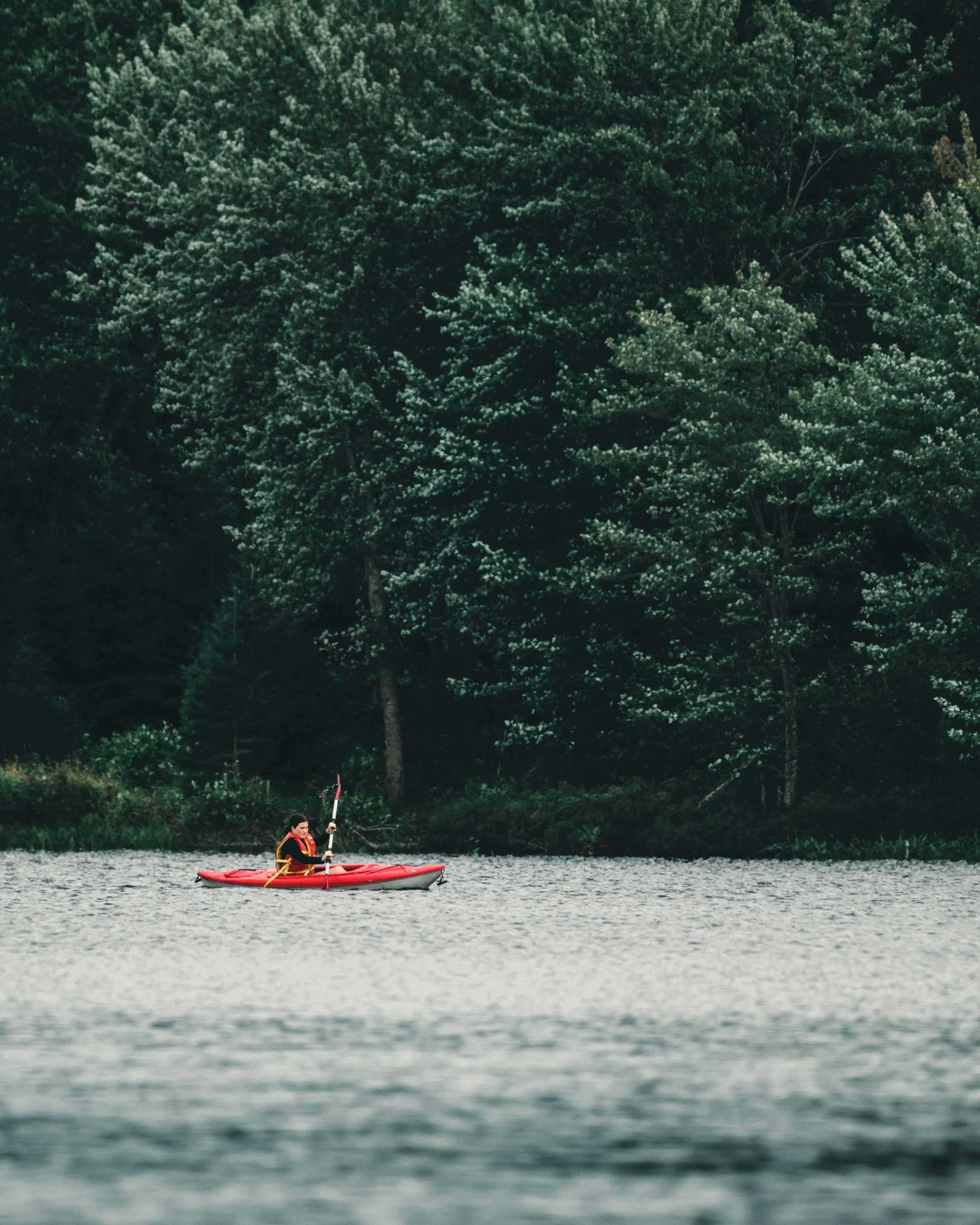 Kayaker Paddling on Forest Lake