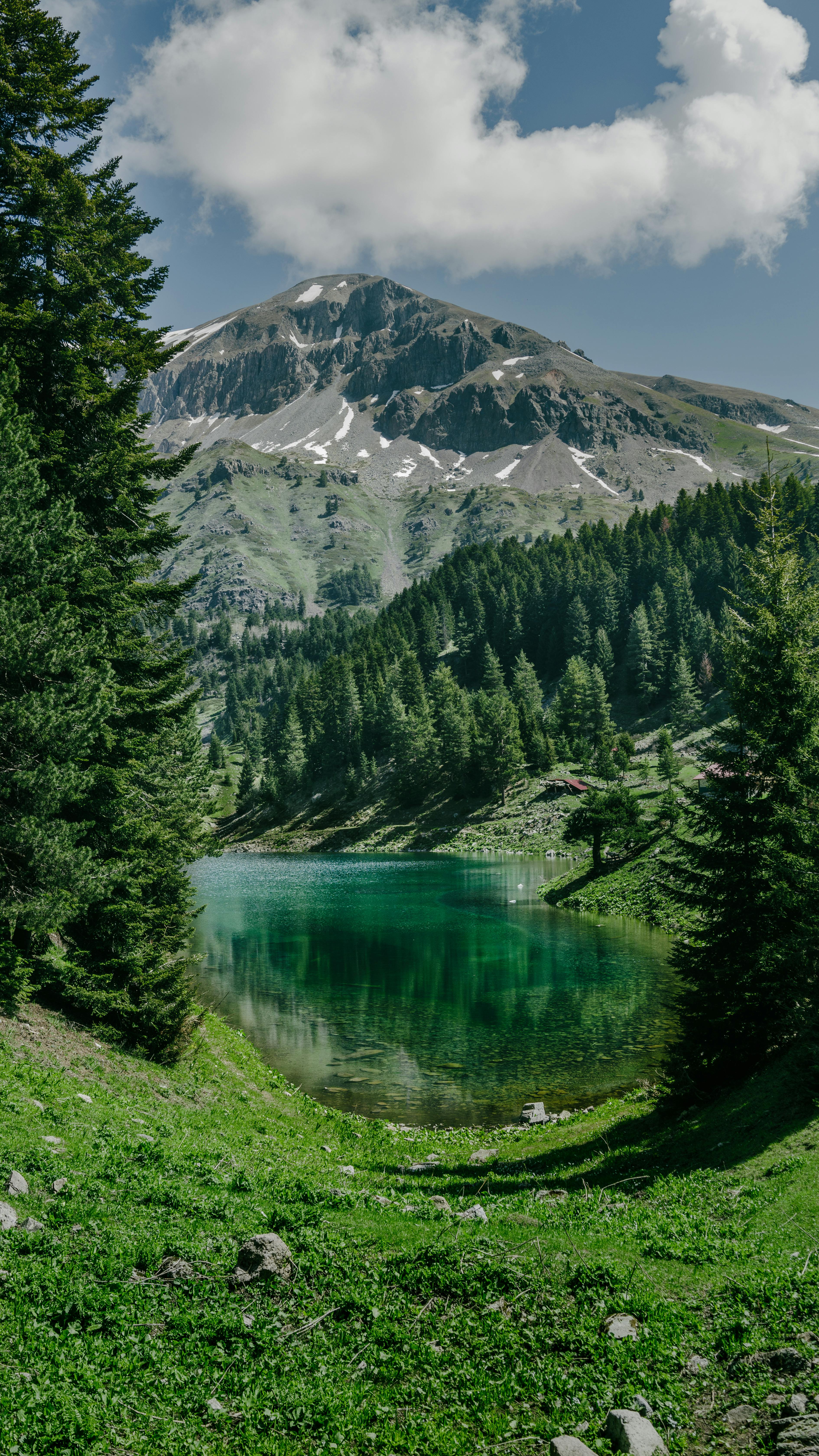 Wallpapers